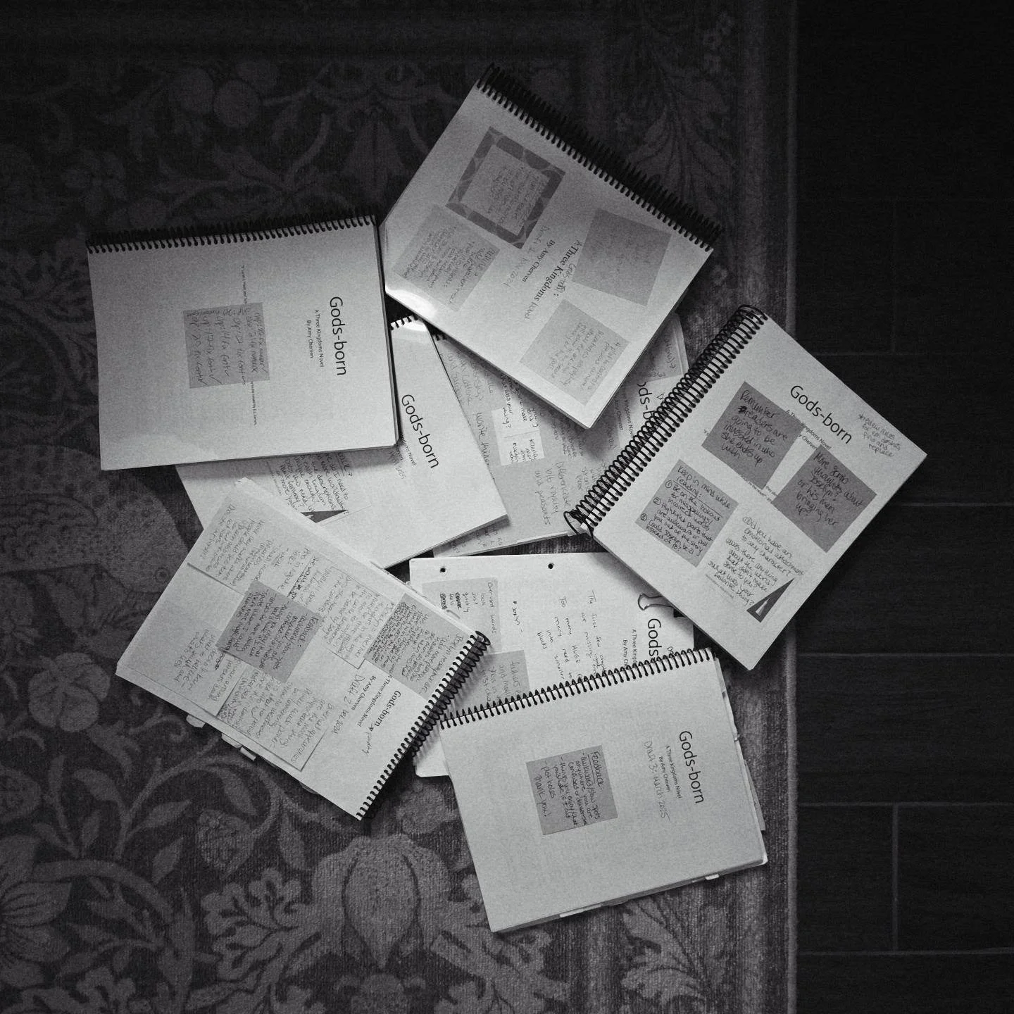 Multiple spiral-bound booklets and loose papers spread on a patterned carpeted floor. The booklets are titled 'Gods-born' and contain handwritten notes and printed inserts.