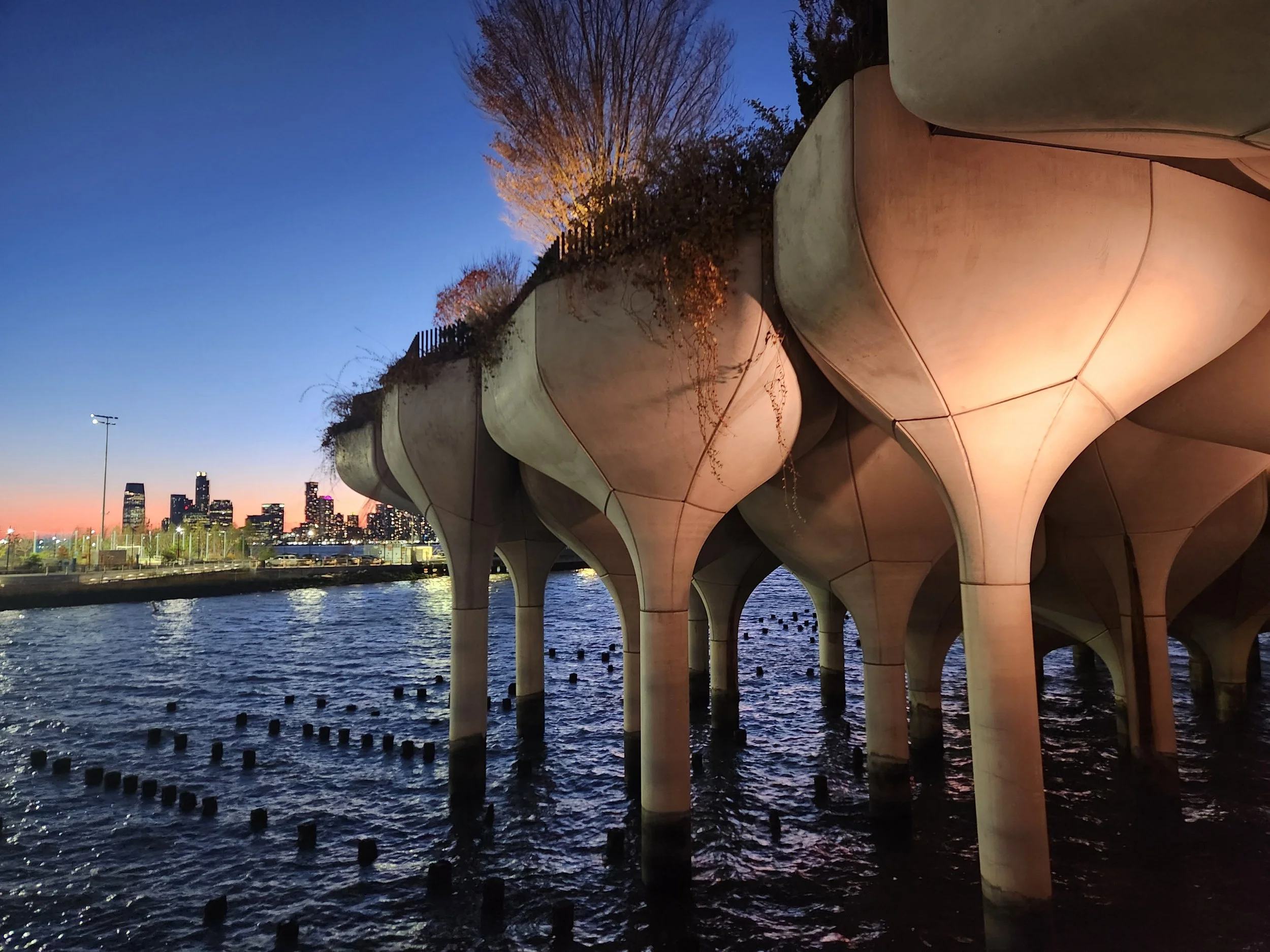 Nighttime view of a city skyline across a body of water, with a uniquely designed modern structure in the foreground supported by columns, and illuminated trees lining the top of an elevated area.