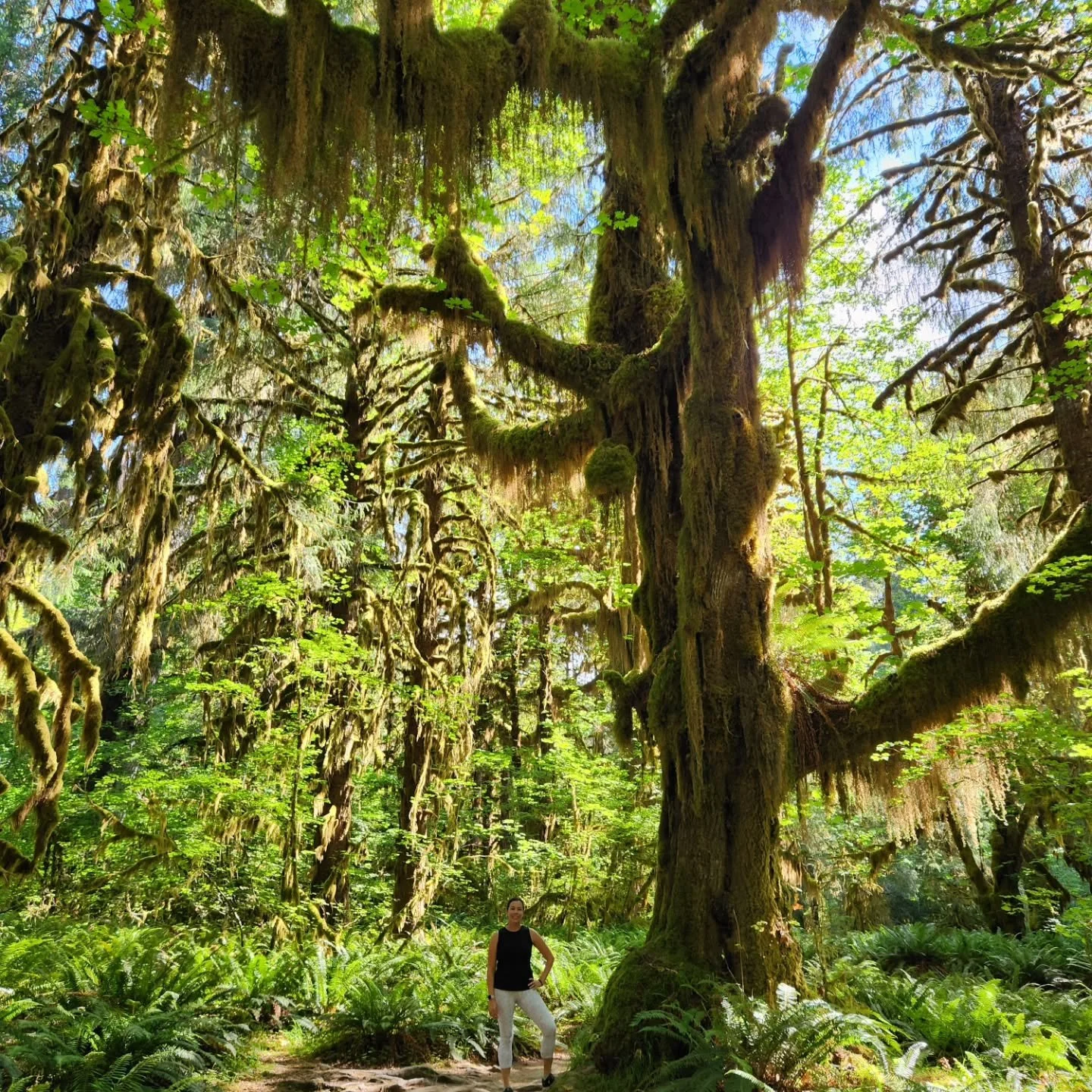 A woman standing in a lush, green forest with very tall, moss-covered trees and dense foliage around her.