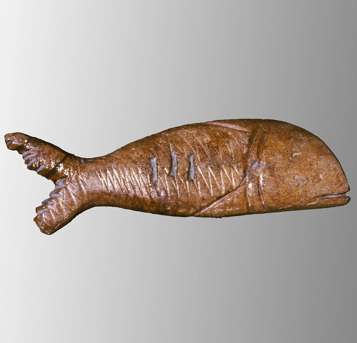 Archeologia Pesce 1003-10-11.jpg