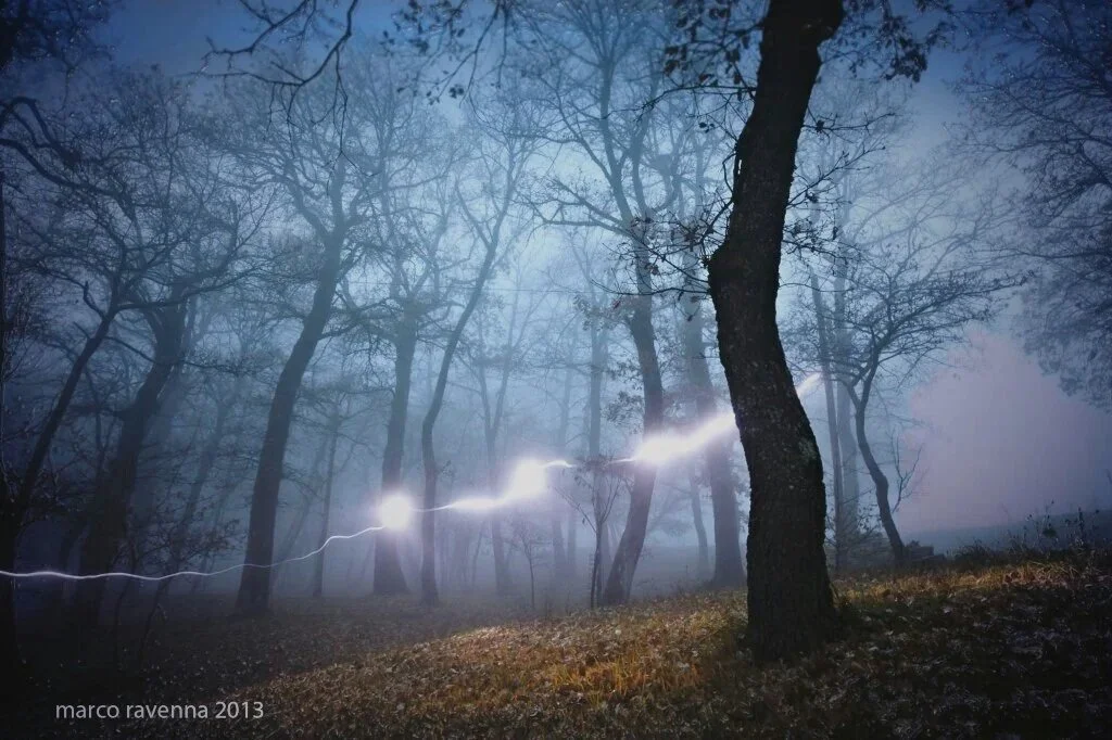 A lightning bolt strikes through a foggy forest with tall, bare trees and a grassy ground.