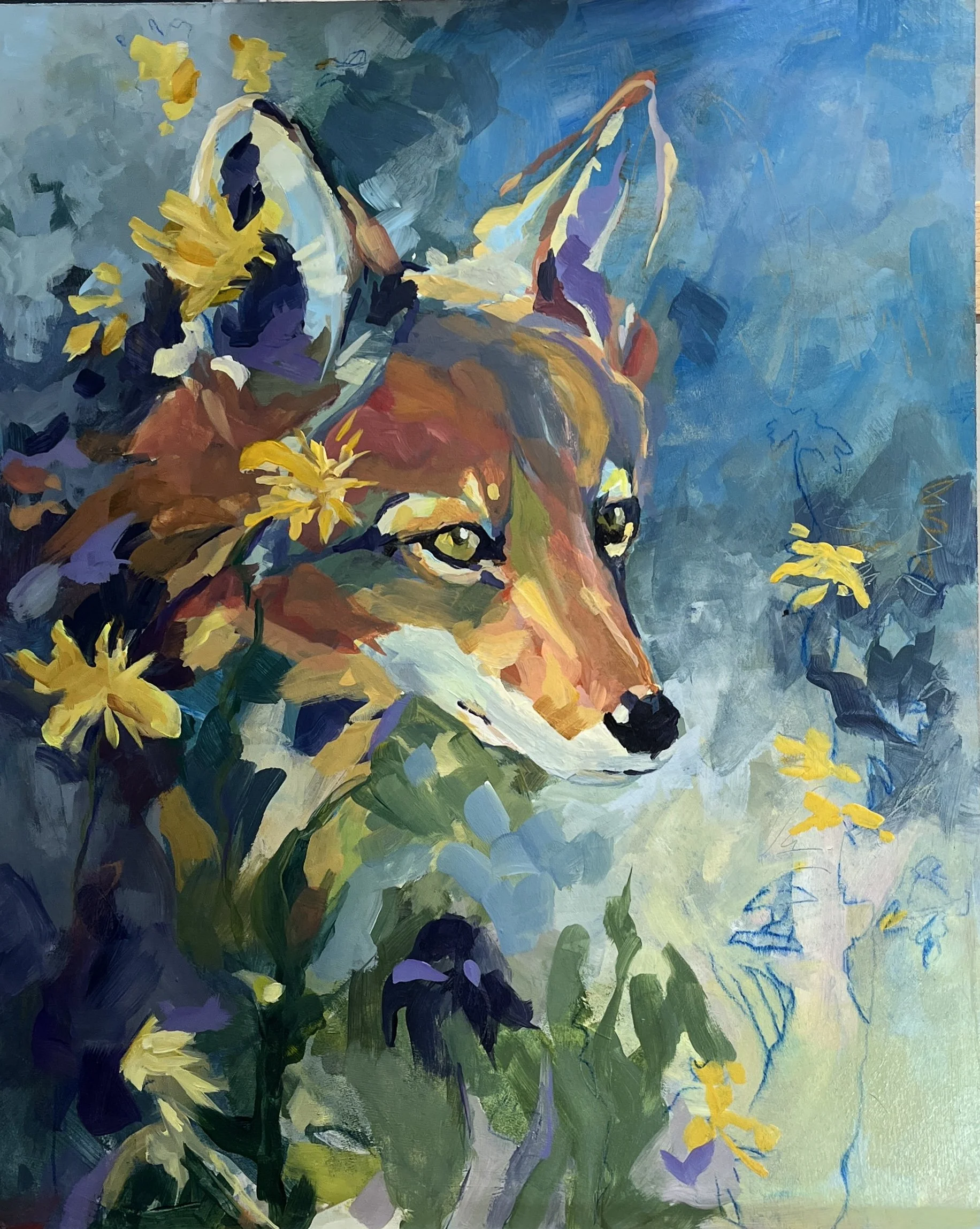 Coyote in the FLowers 18 x 24 acrylic on board.   $100.00.  
Availabe as an 14 x 11 matted print $20.00