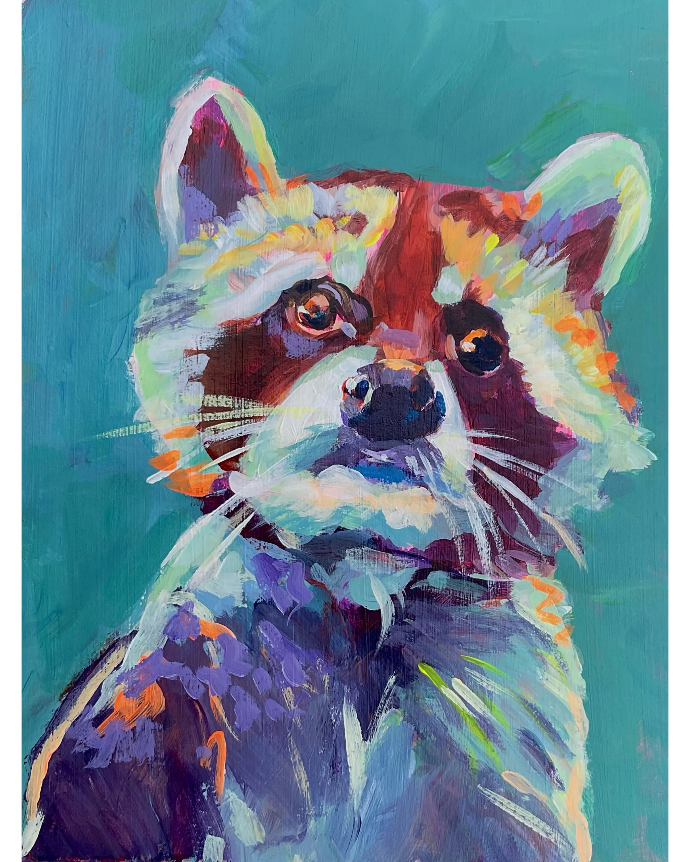 Raccoon 14 x 11 matted print $20.00