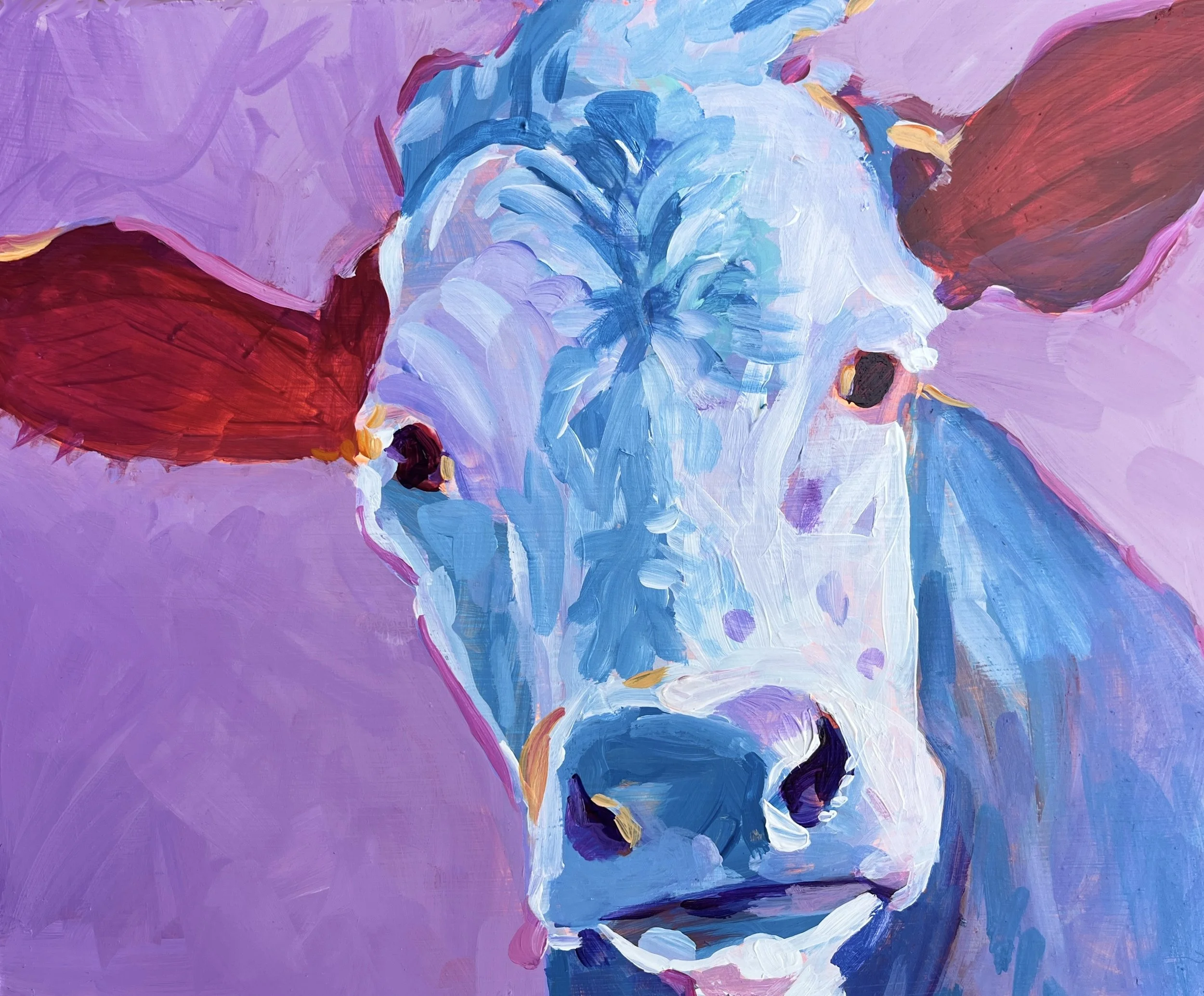 Blue Cow 14 x 11 matted print $20.00