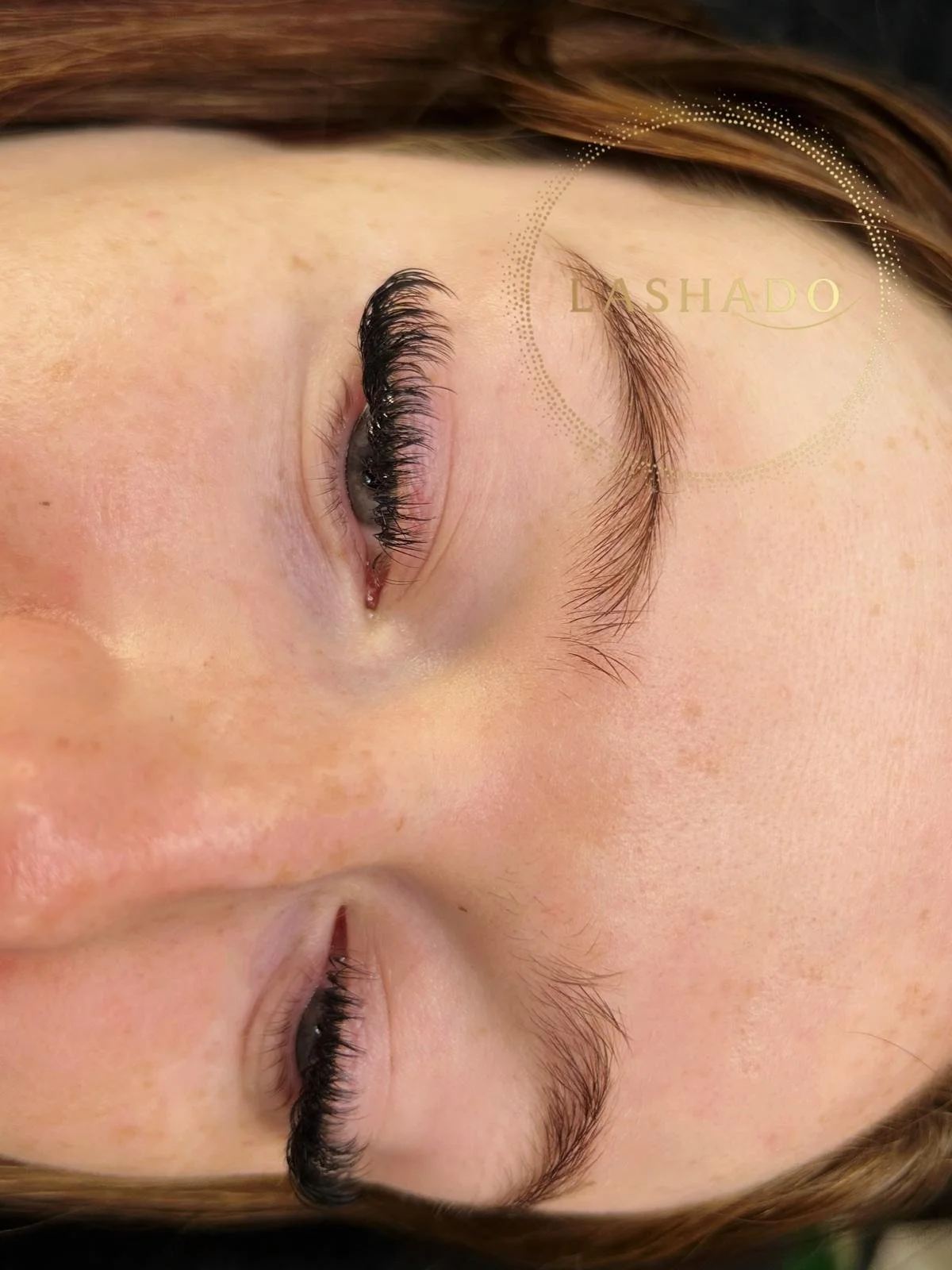Volume / 4D + Lash Extensions
