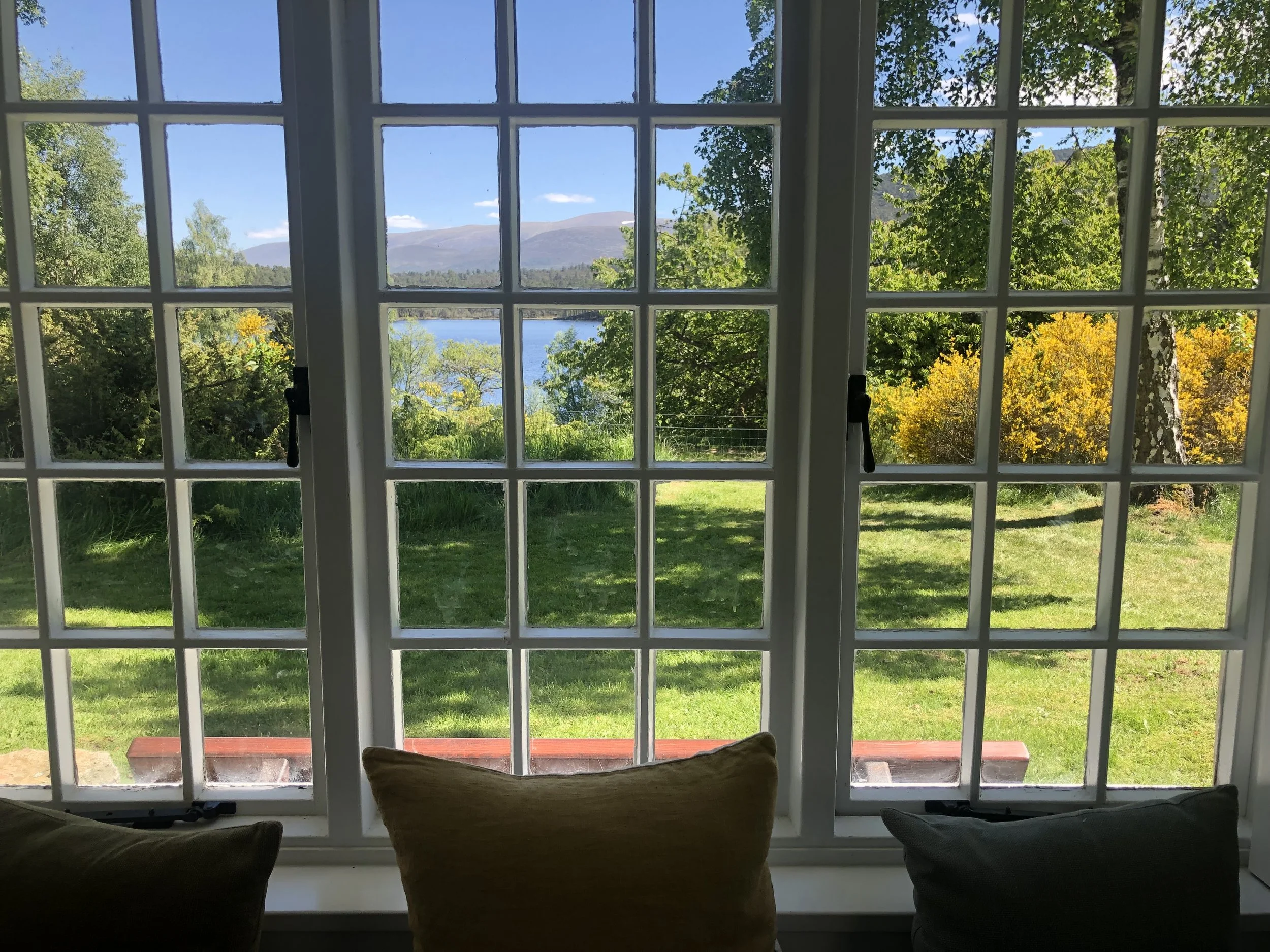 View through a multi-pane window showing green trees, a lake, and distant mountains on a sunny day.