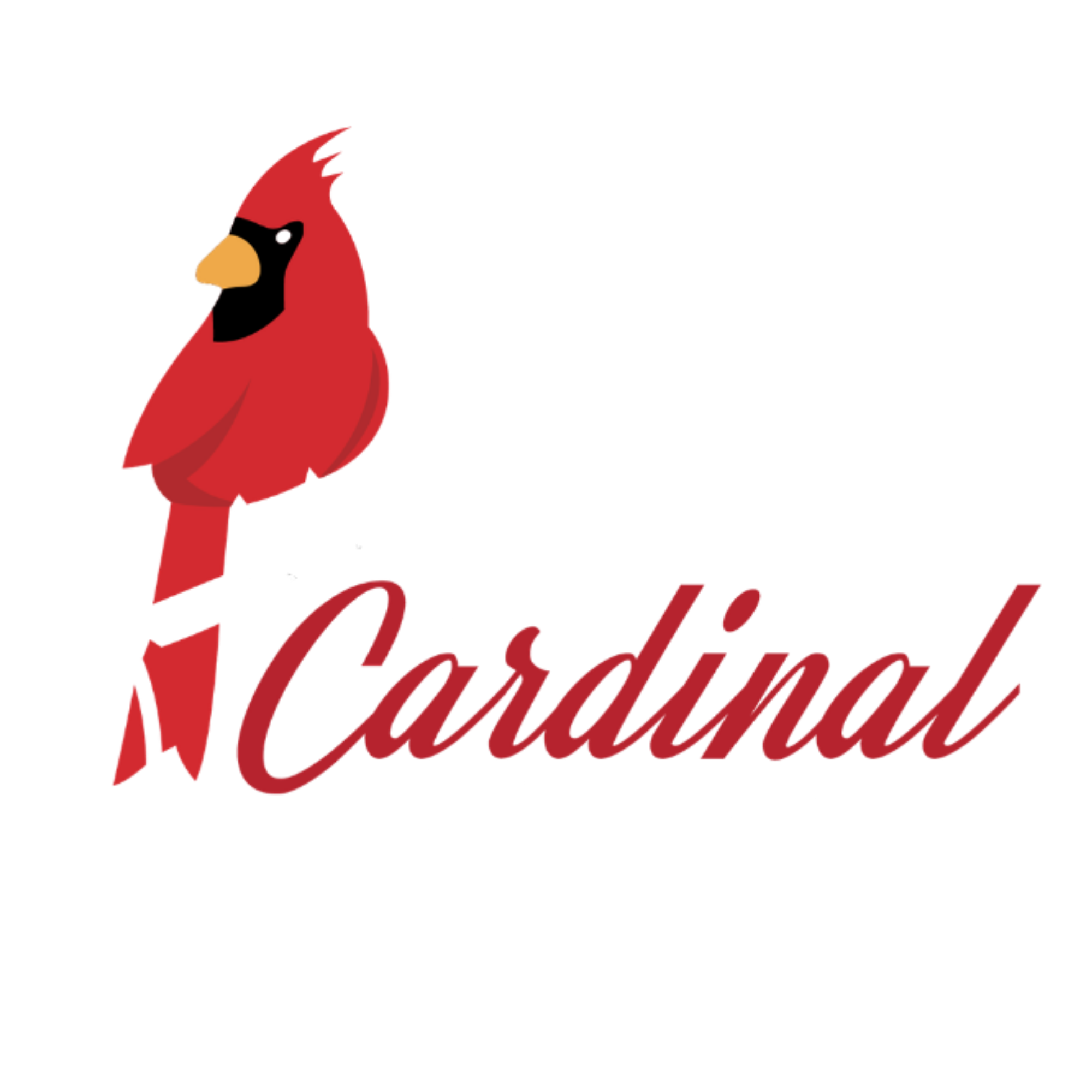 24.png