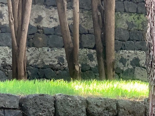 Prato Ragalna 01.jpg