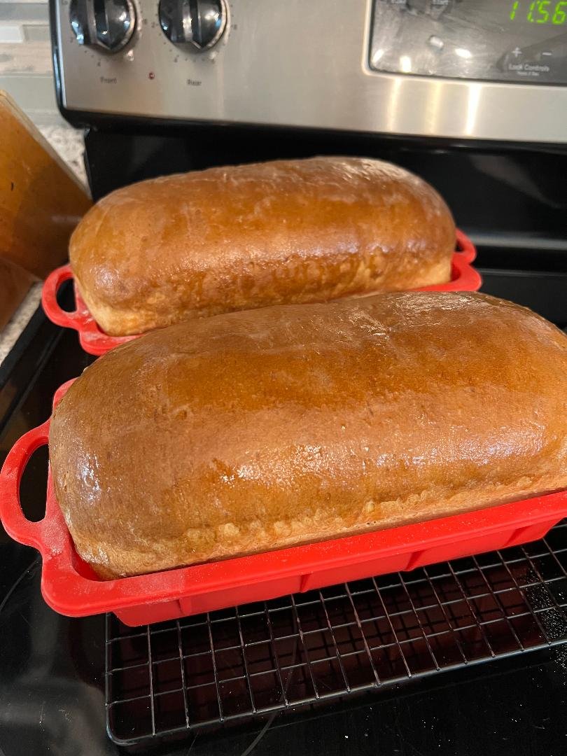 Sourdough Sandwich Bread Oven.jpg