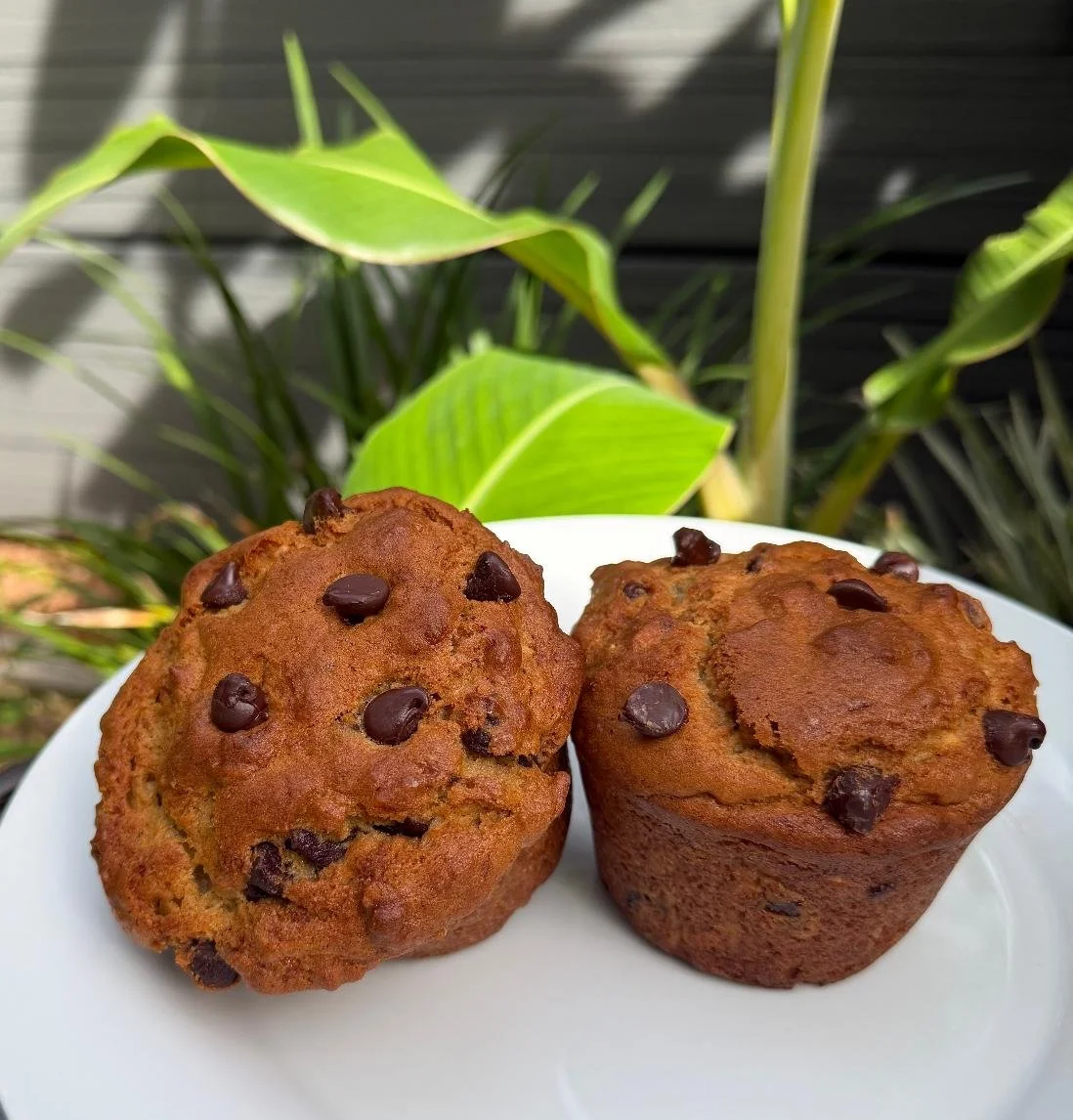 Chunky Monkey Muffins.jpg