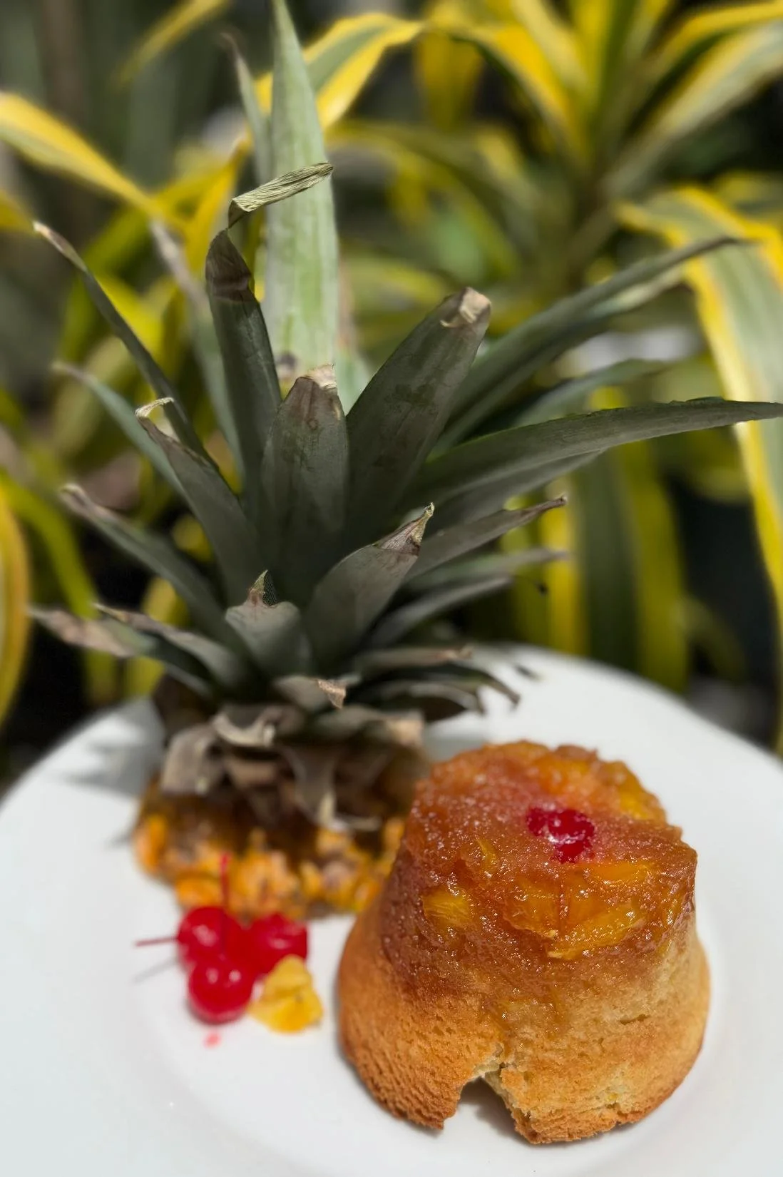 Pineapple upside Down Muffins.jpg