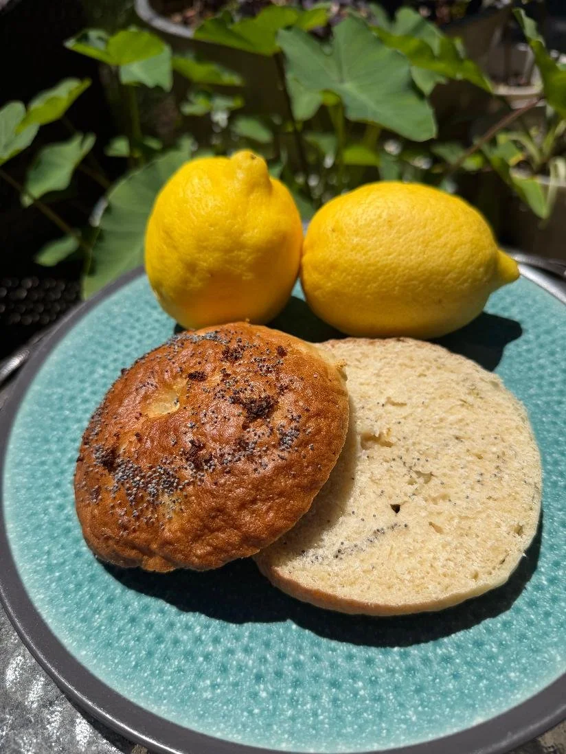 Lemon Poppyseed Bagel.jpg