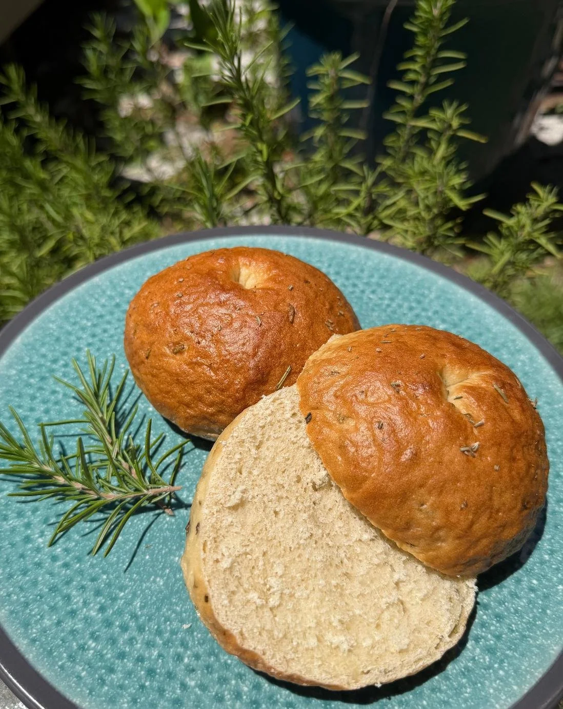 Rosemary Garlic Bagel.jpg