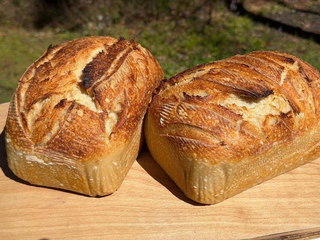 Artisan Sourdough