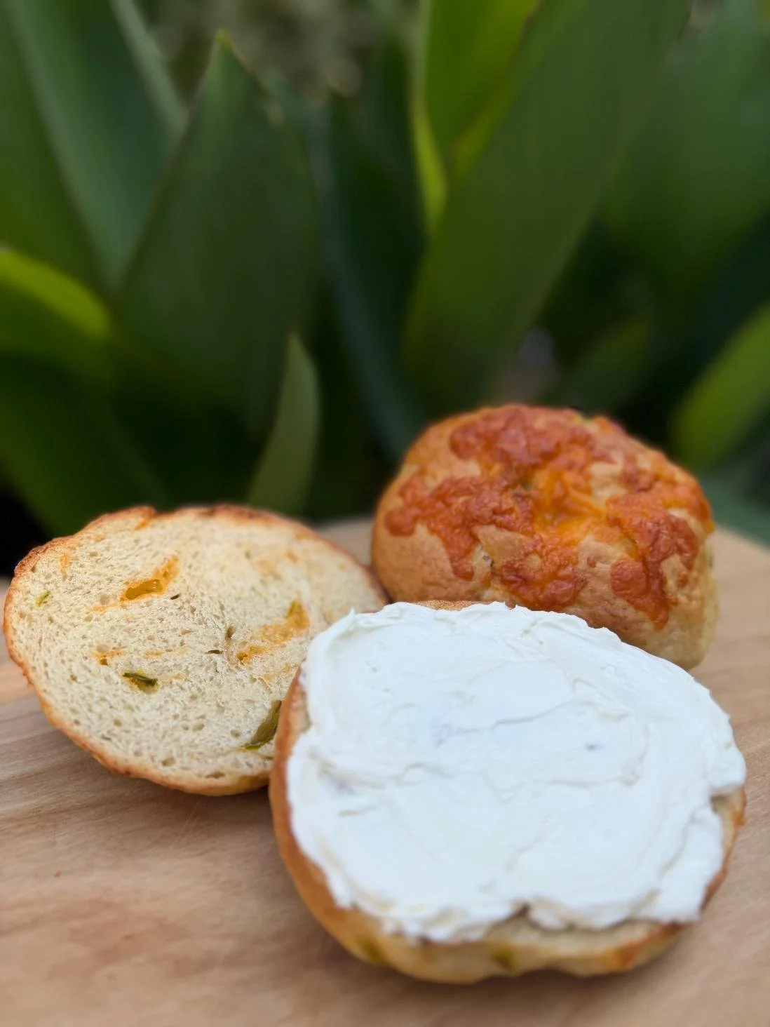 Cheddar Jap Bagel.jpg