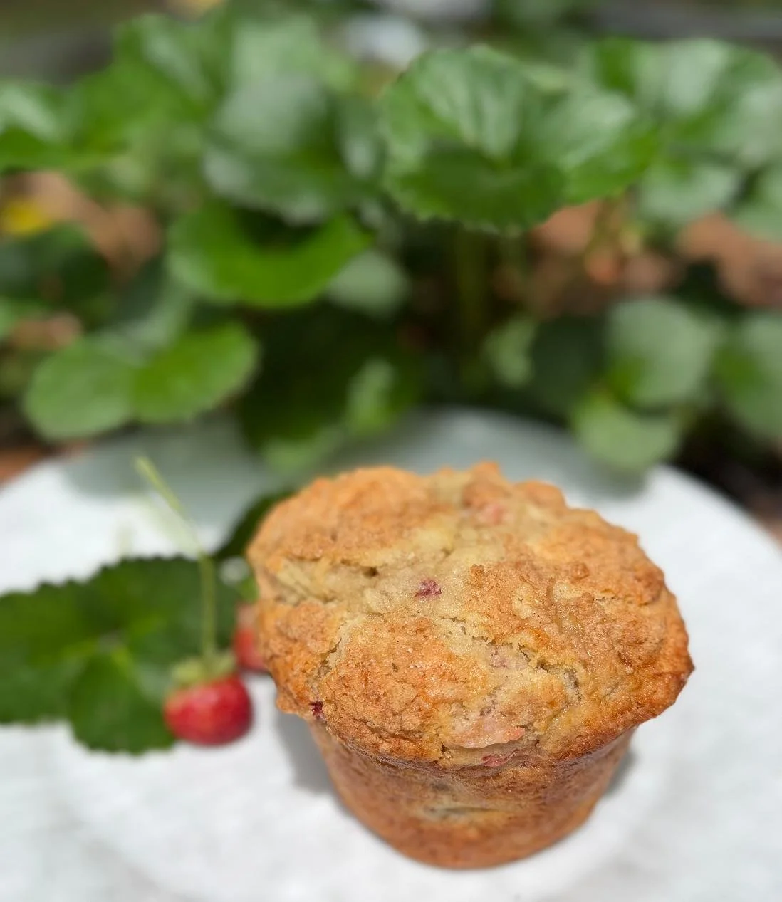 Strawberry White Chocolste Muffins.jpg