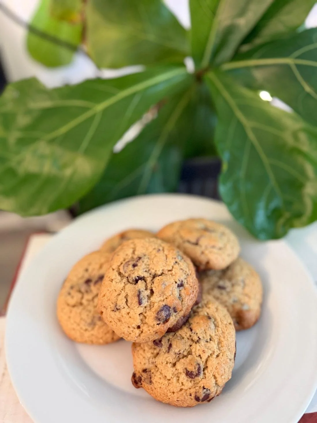 Chocolate Chip Cookies.jpg