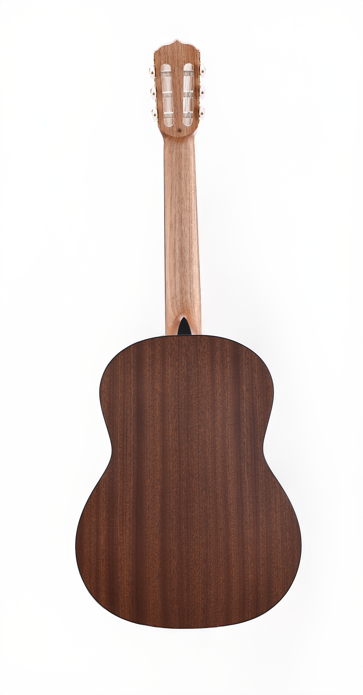 Model 1 MBack View.png