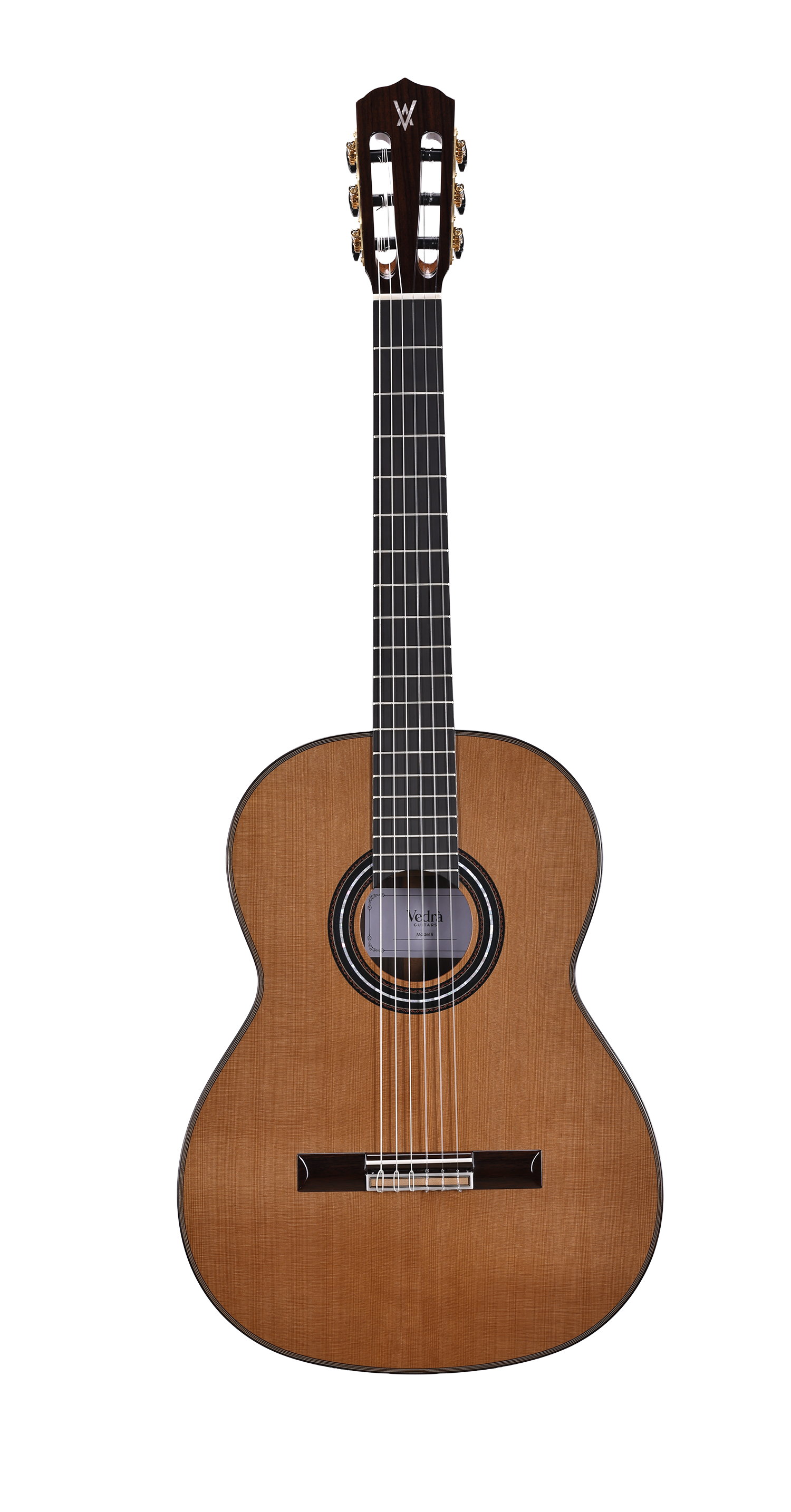 Model 8