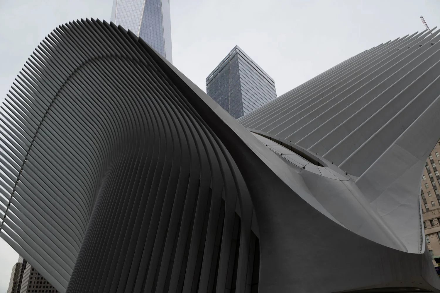 Close-up view of modern architectural buildings with curved and linear design features in an urban setting.