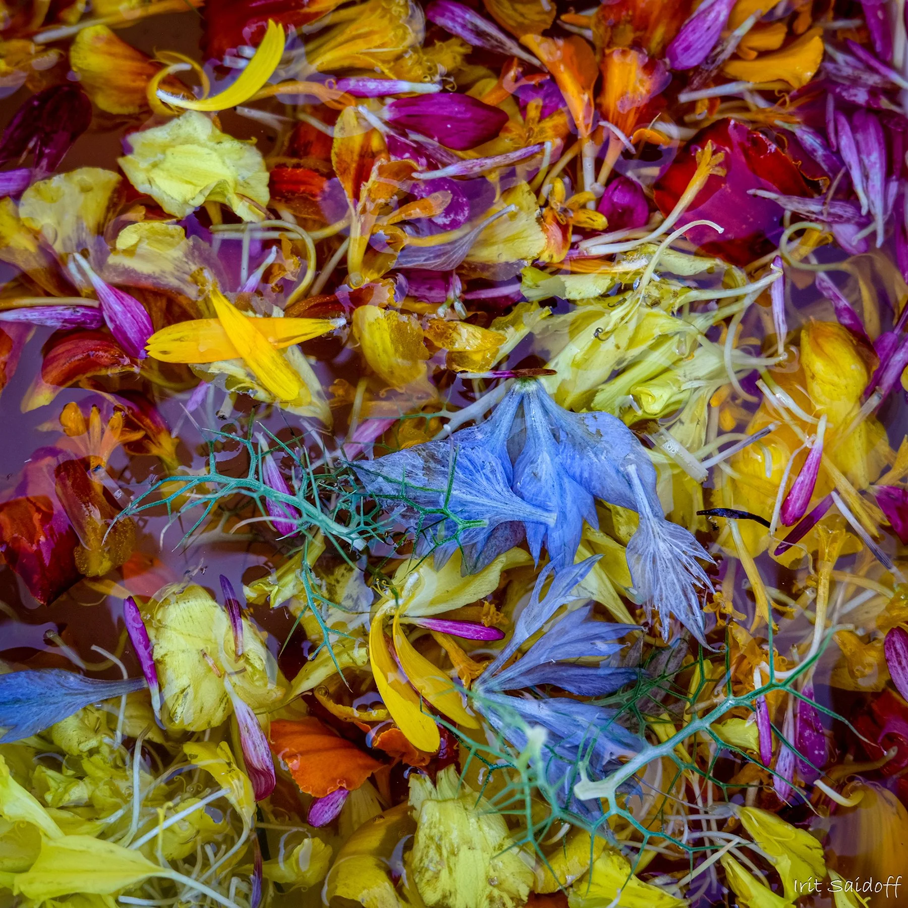 Potpourri