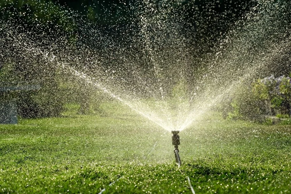 Un irrigatore spruzza acqua su un prato verde.