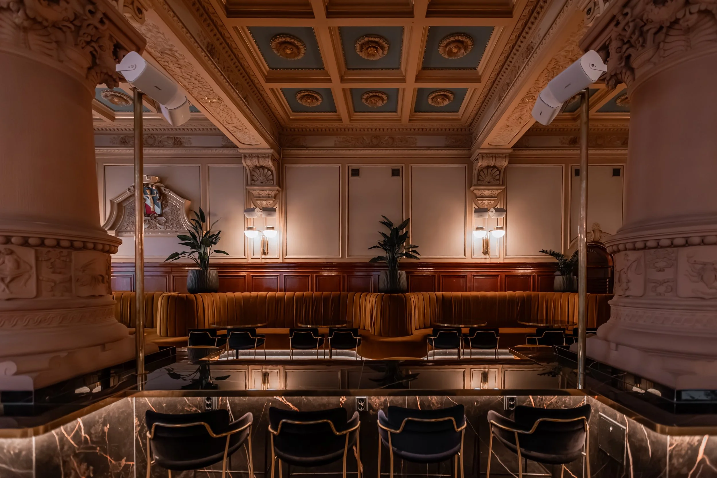 20260909_ODUports_NightBloom_Main_Table8_1.jpg