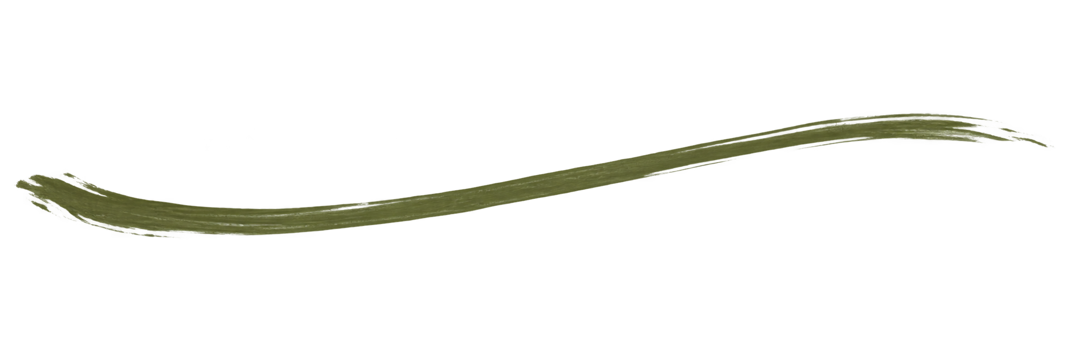 A single green, slightly curved stem or plant.