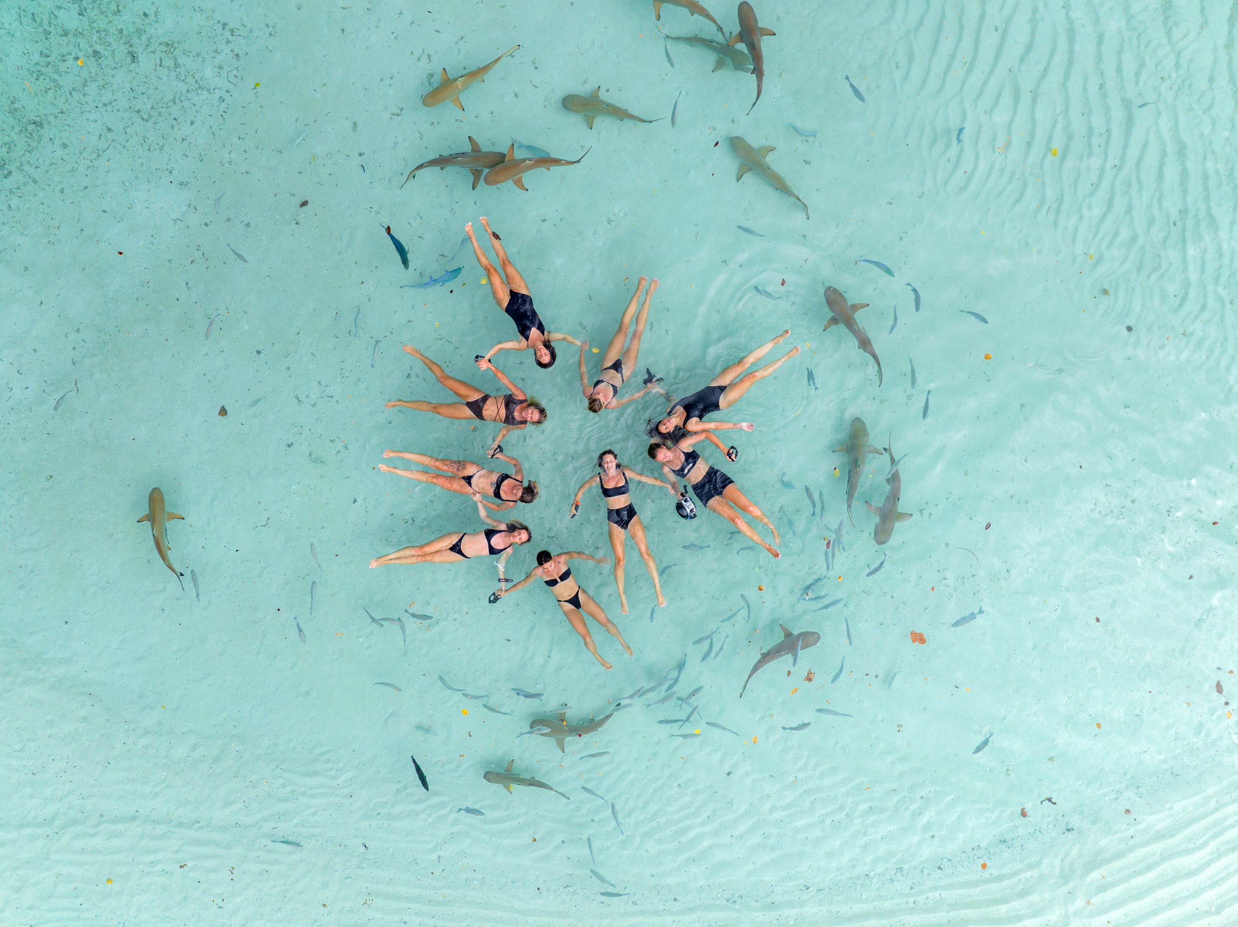 DJI_0323.jpg