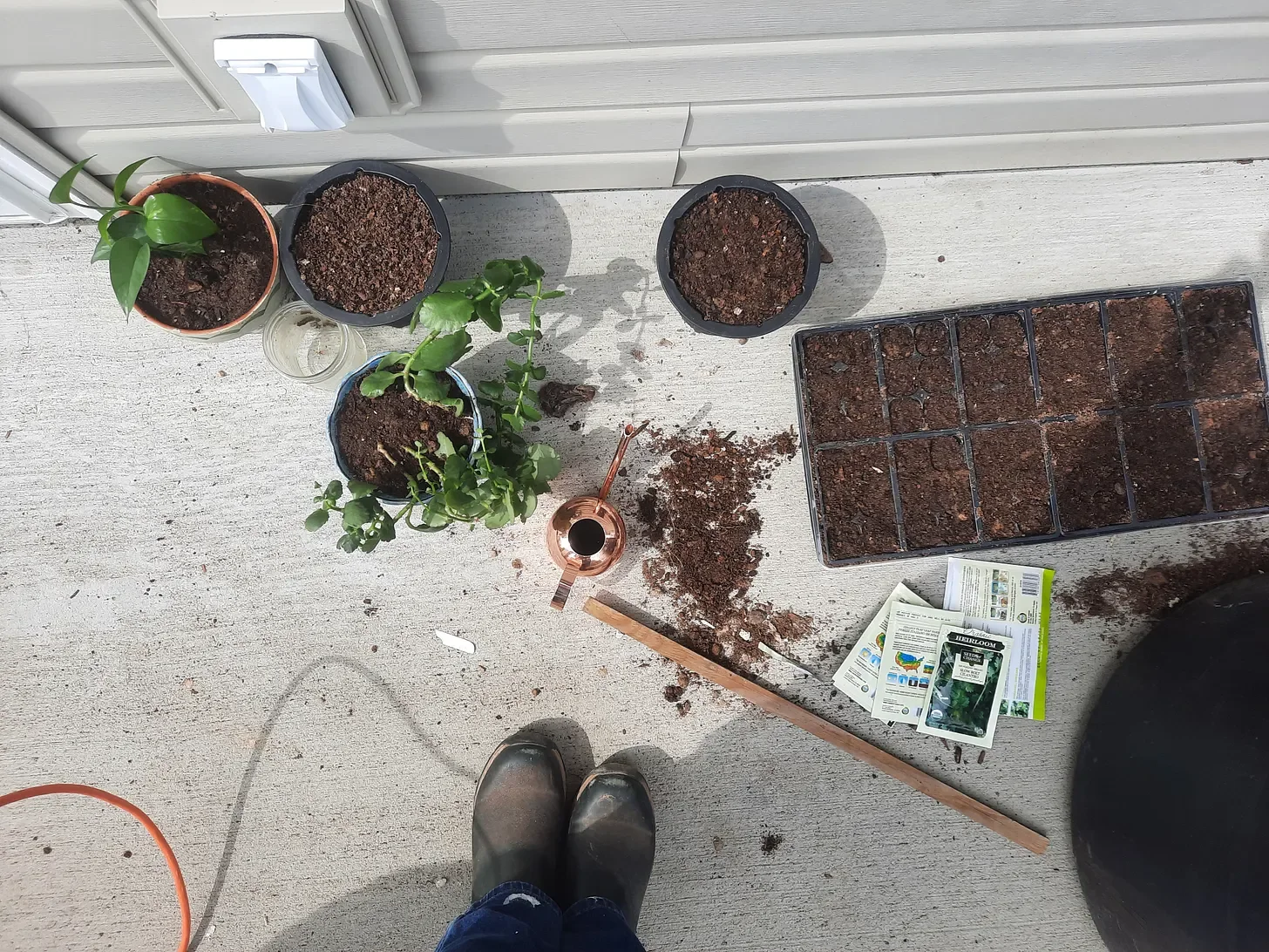 Apartment to Acre Homesteading: how it all began