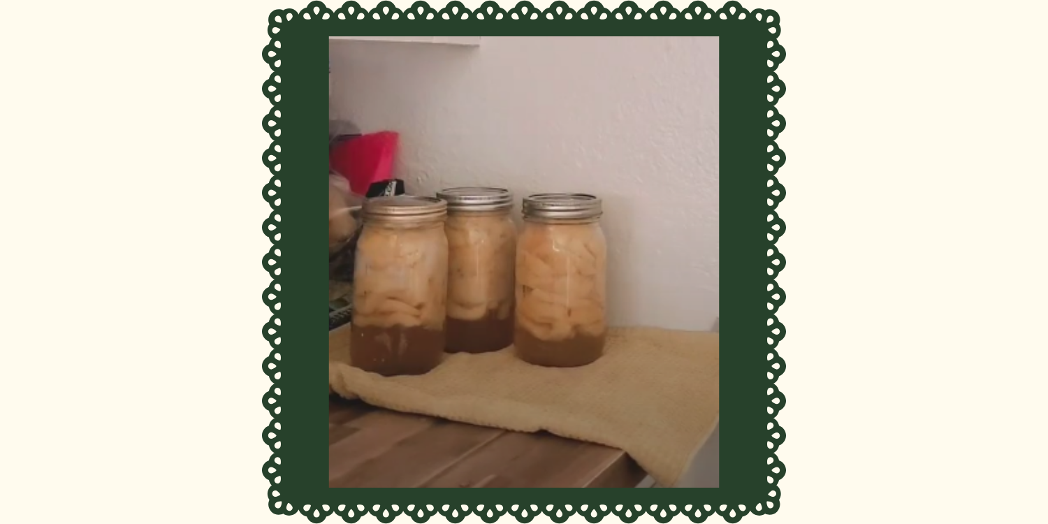 Canned Peaches