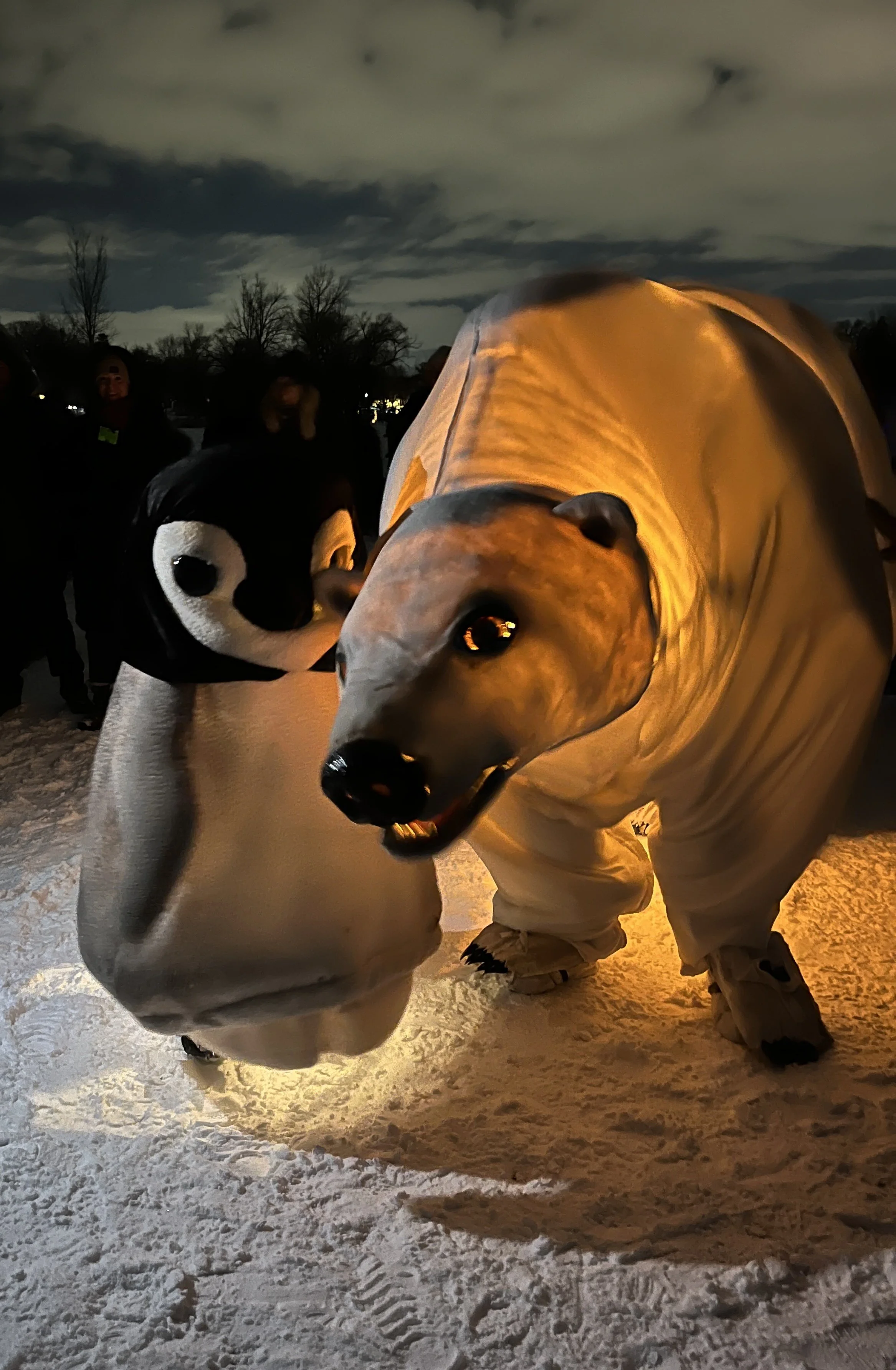 Lady Bear and the baby penguin