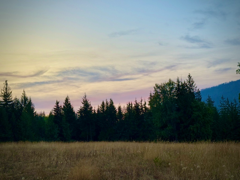 A peaceful landscape of a grassy field with a line of trees in the background under a colorful sky at sunset or sunrise.
