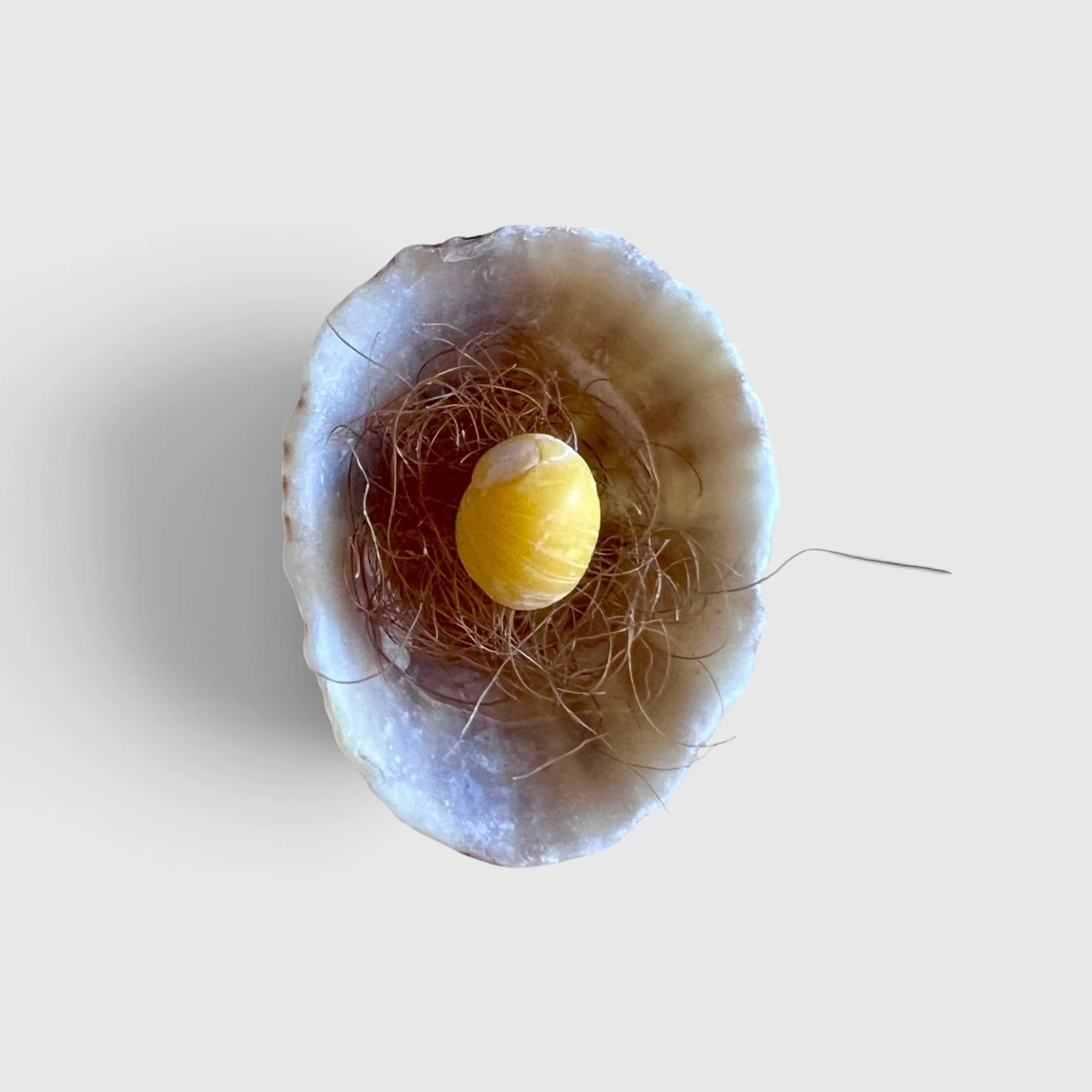 Working Object 11