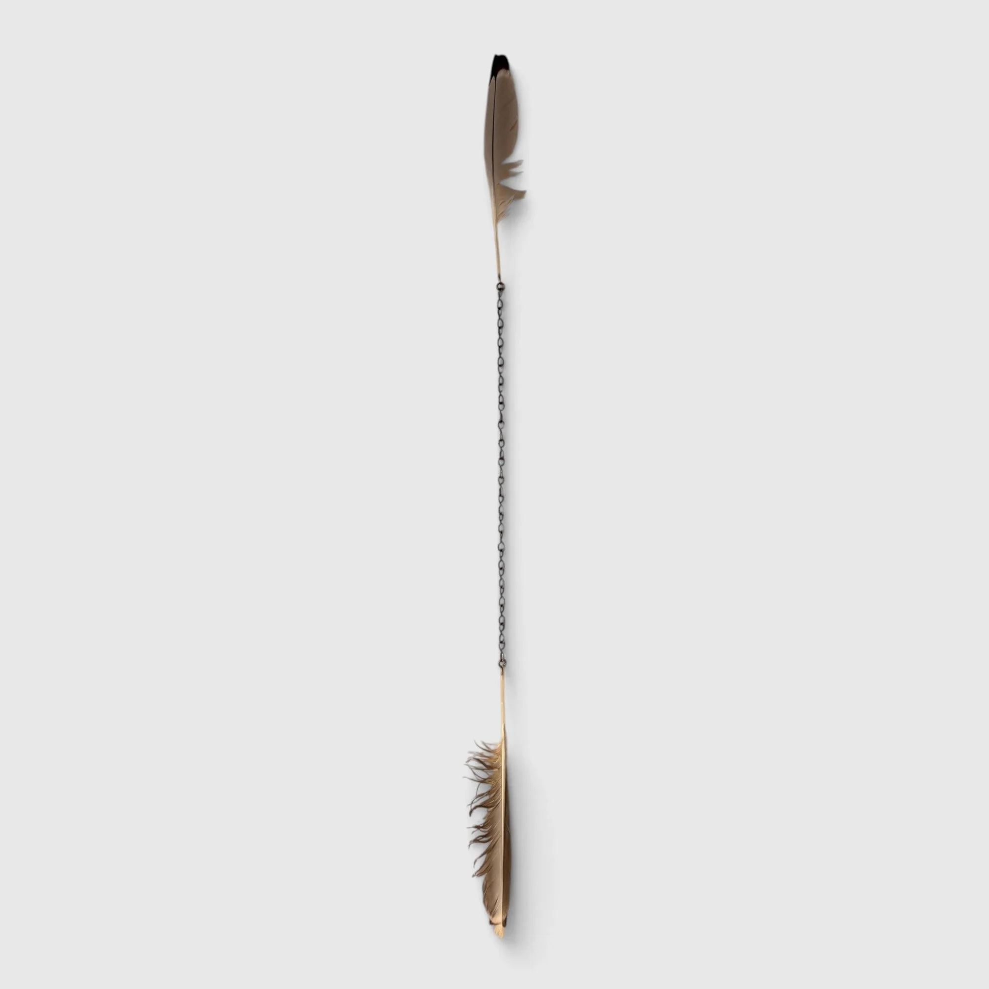 Working Object 08, 2026: Two feathers positioned vertically in opposition and connected by a length of dark metal chain.