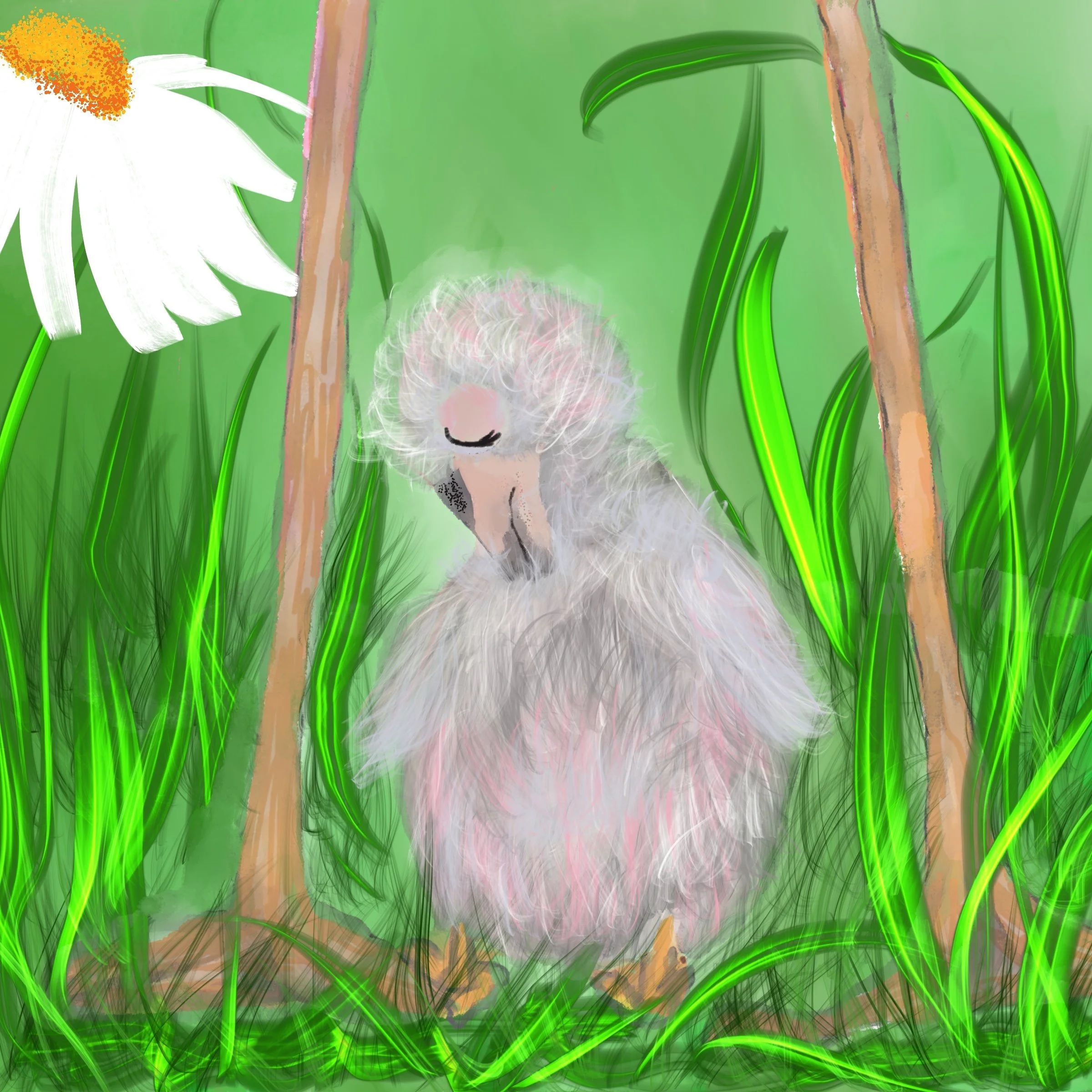 Baby Wingo