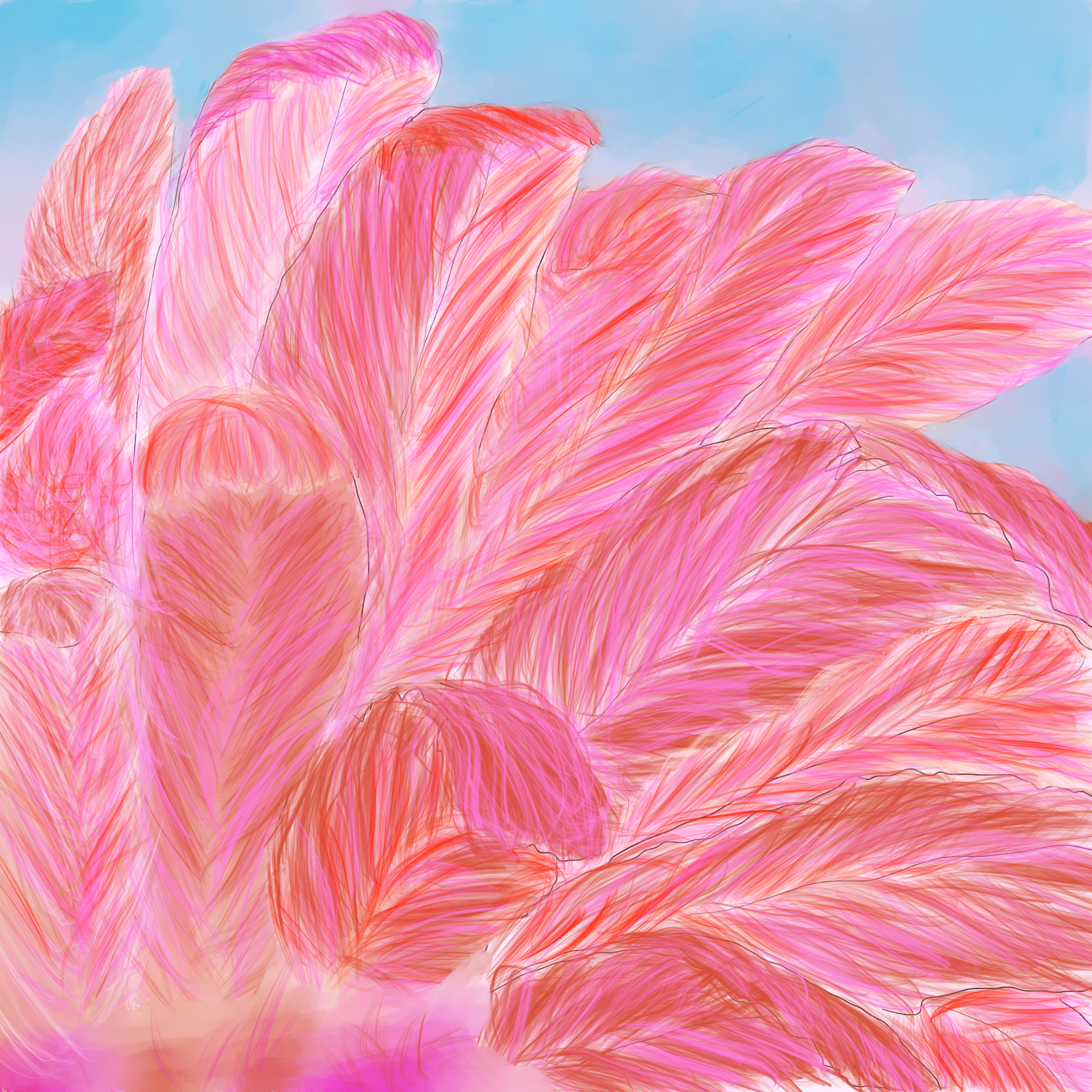 Flamingo Feathers