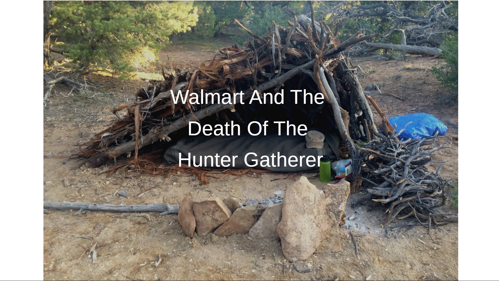 Walmart and the Death of the Hunter-Gatherer