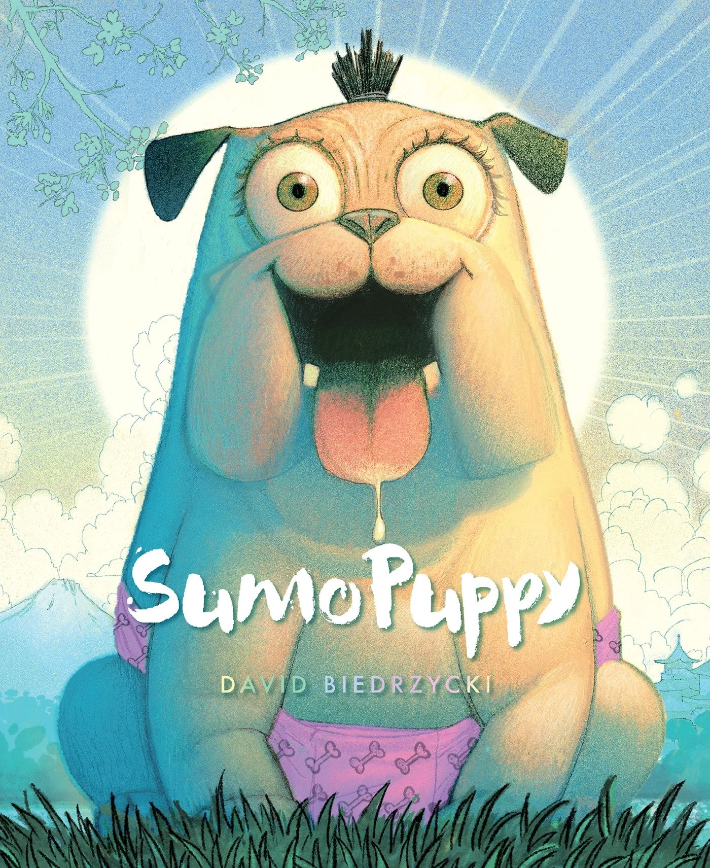 SumoPuppy — picture book by David Biedrzycki, featuring an excited puppy dressed as a sumo wrestler.