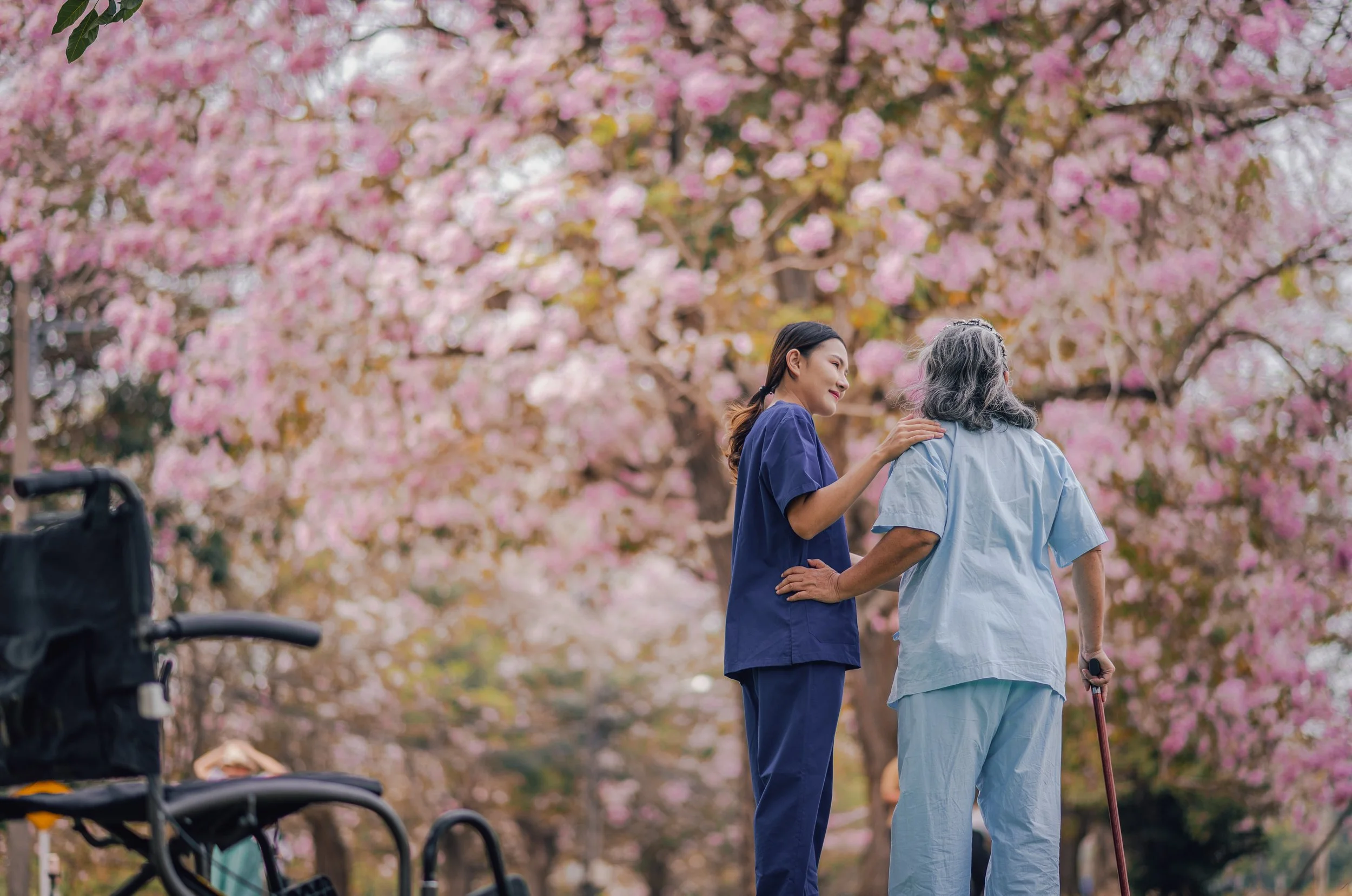 Two women talking among blooming pink cherry blossom trees, one in blue scrubs and the other with gray hair and a cane. A baby stroller is partially visible in the foreground.