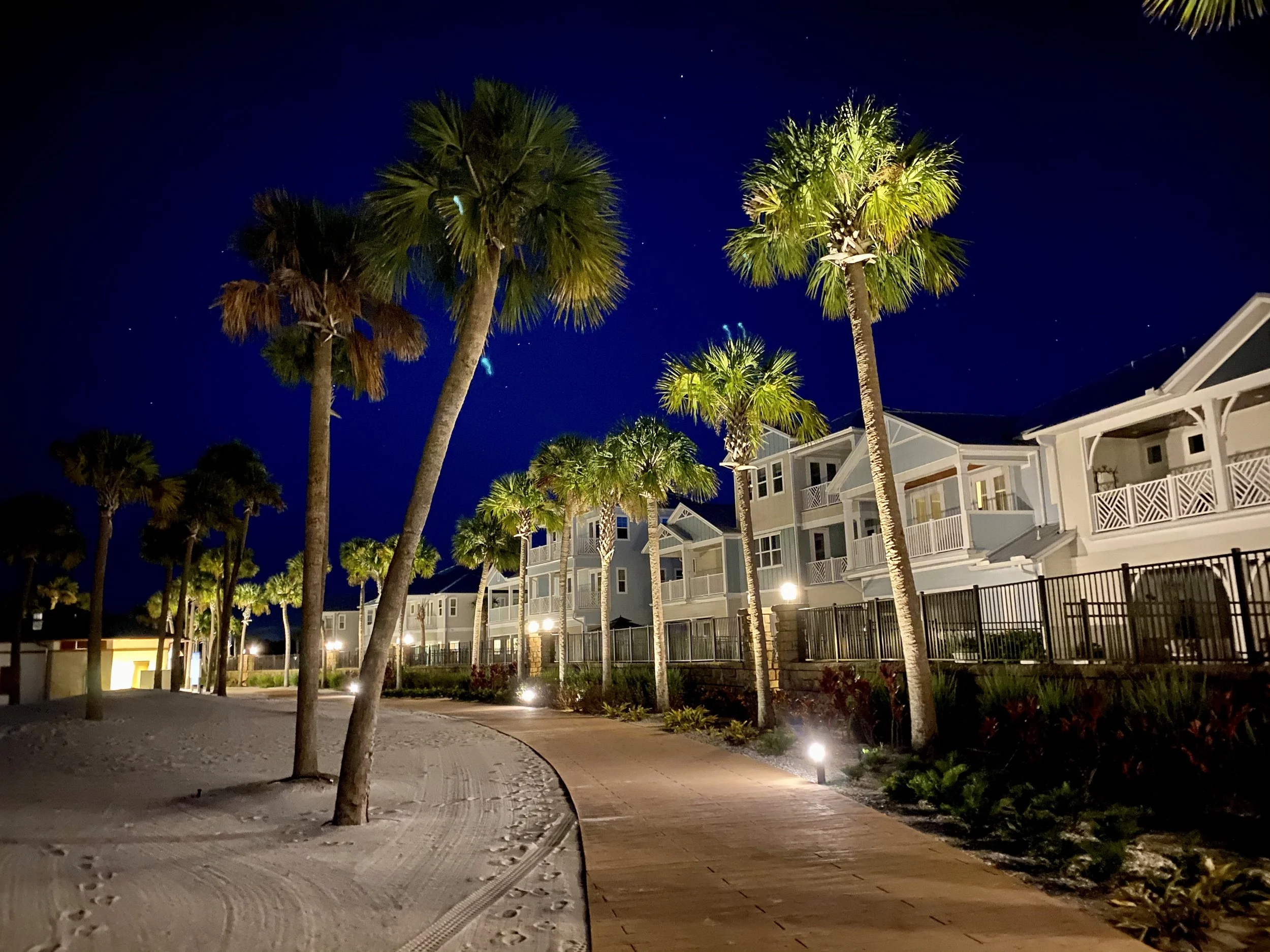 Nighttime lagoon-side walk home from the Beachwalk Club with illuminated palm trees
