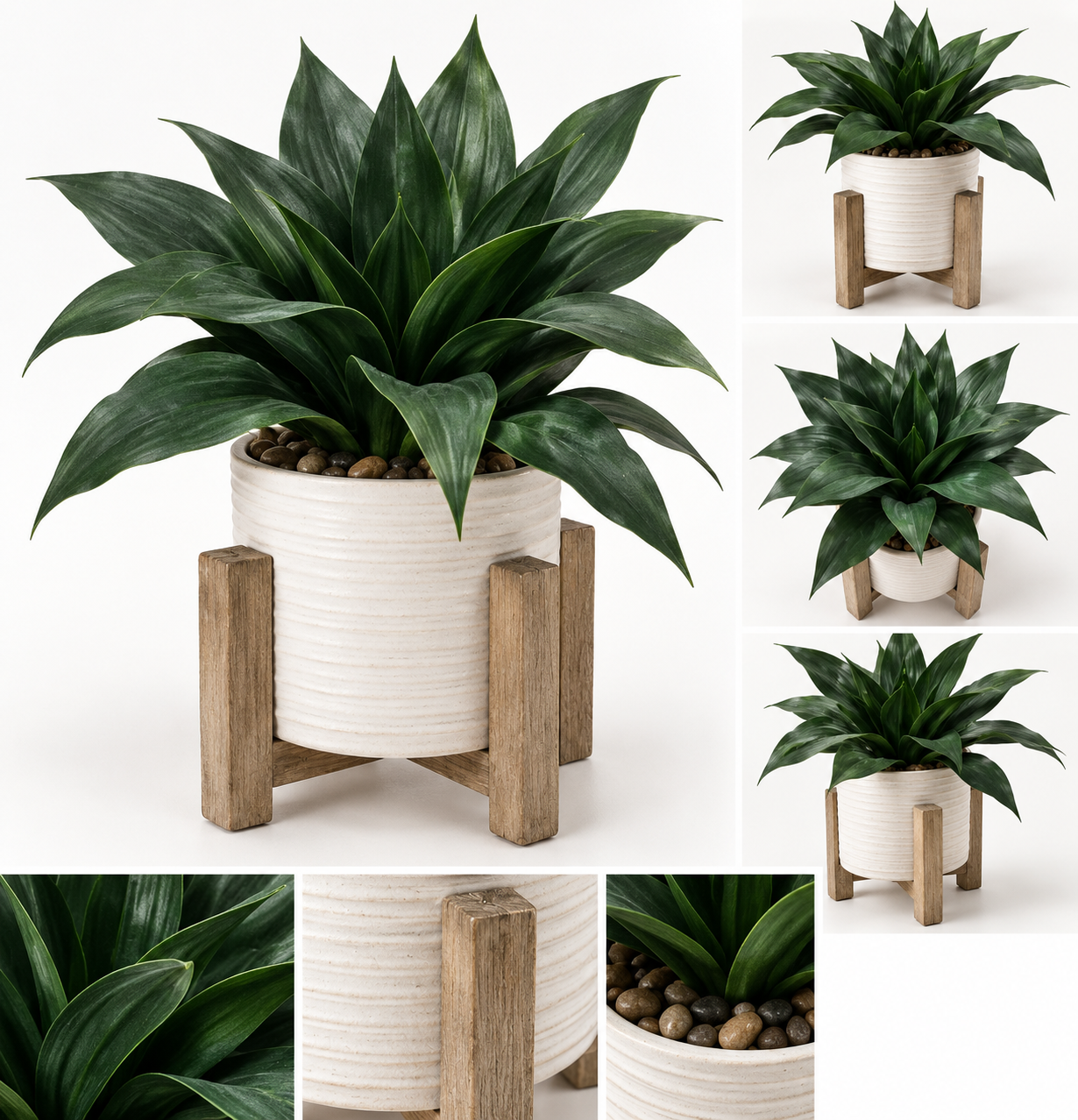 Rustic Potted Plant Product Collage.png