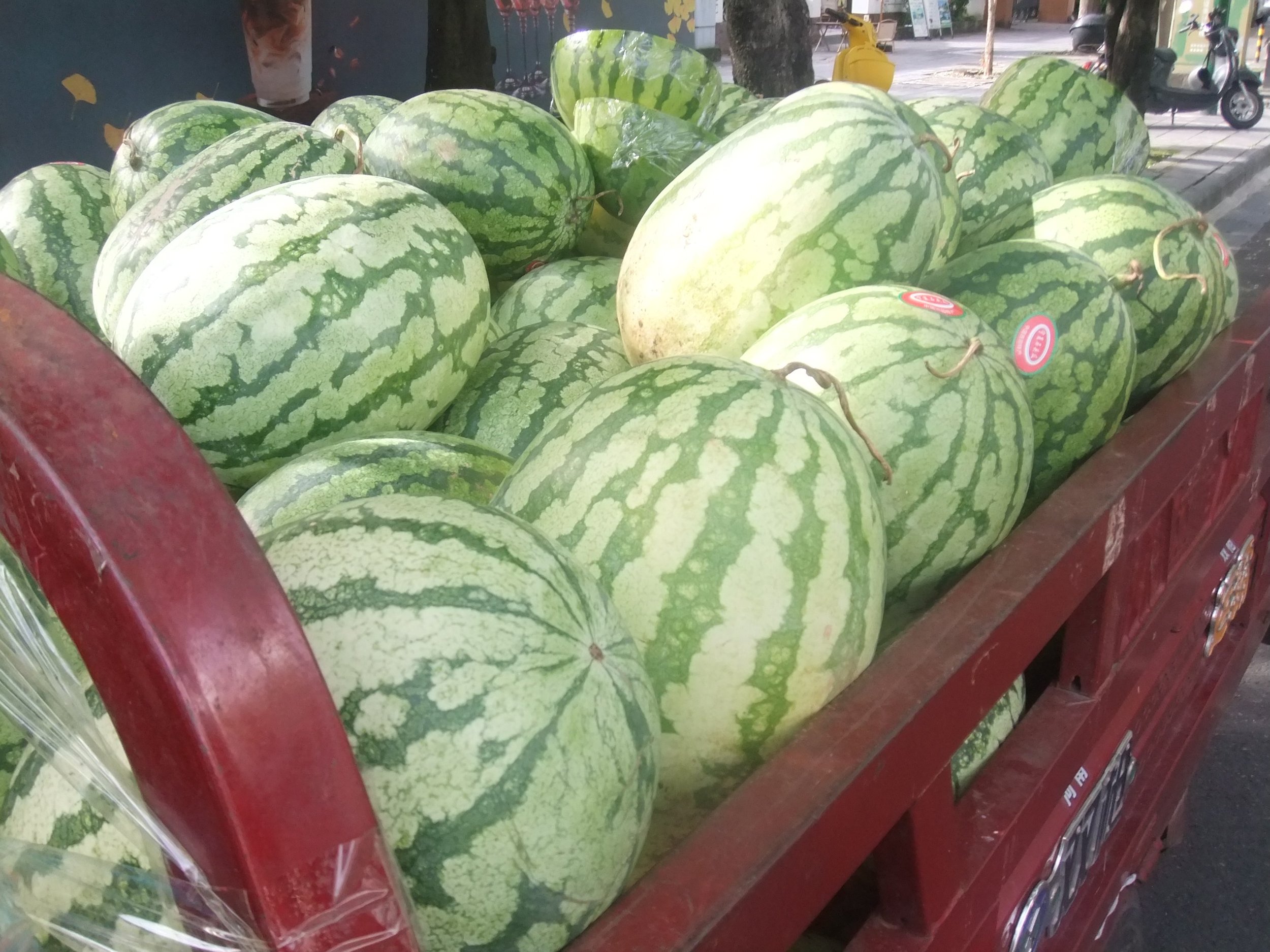 Bright Red Watermelons