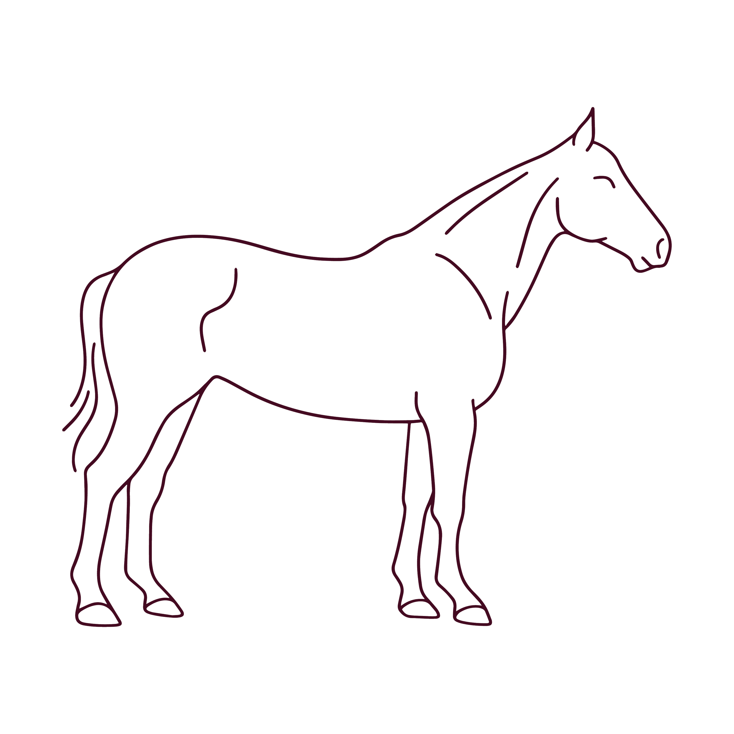 Minimal line drawing of a horse standing in side profile