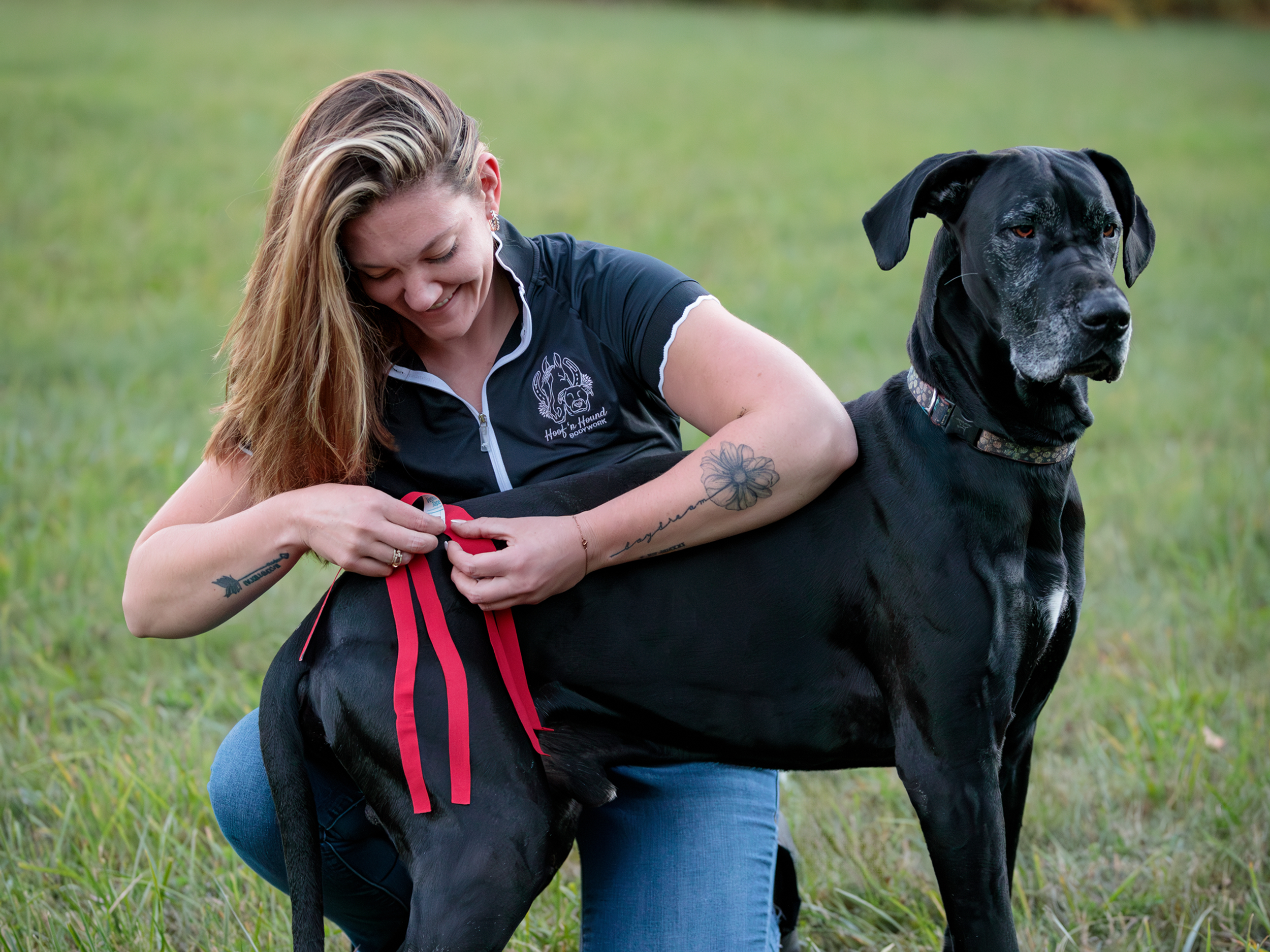 Woman applying bright red kinesiology tape to a large black dog’s hind leg