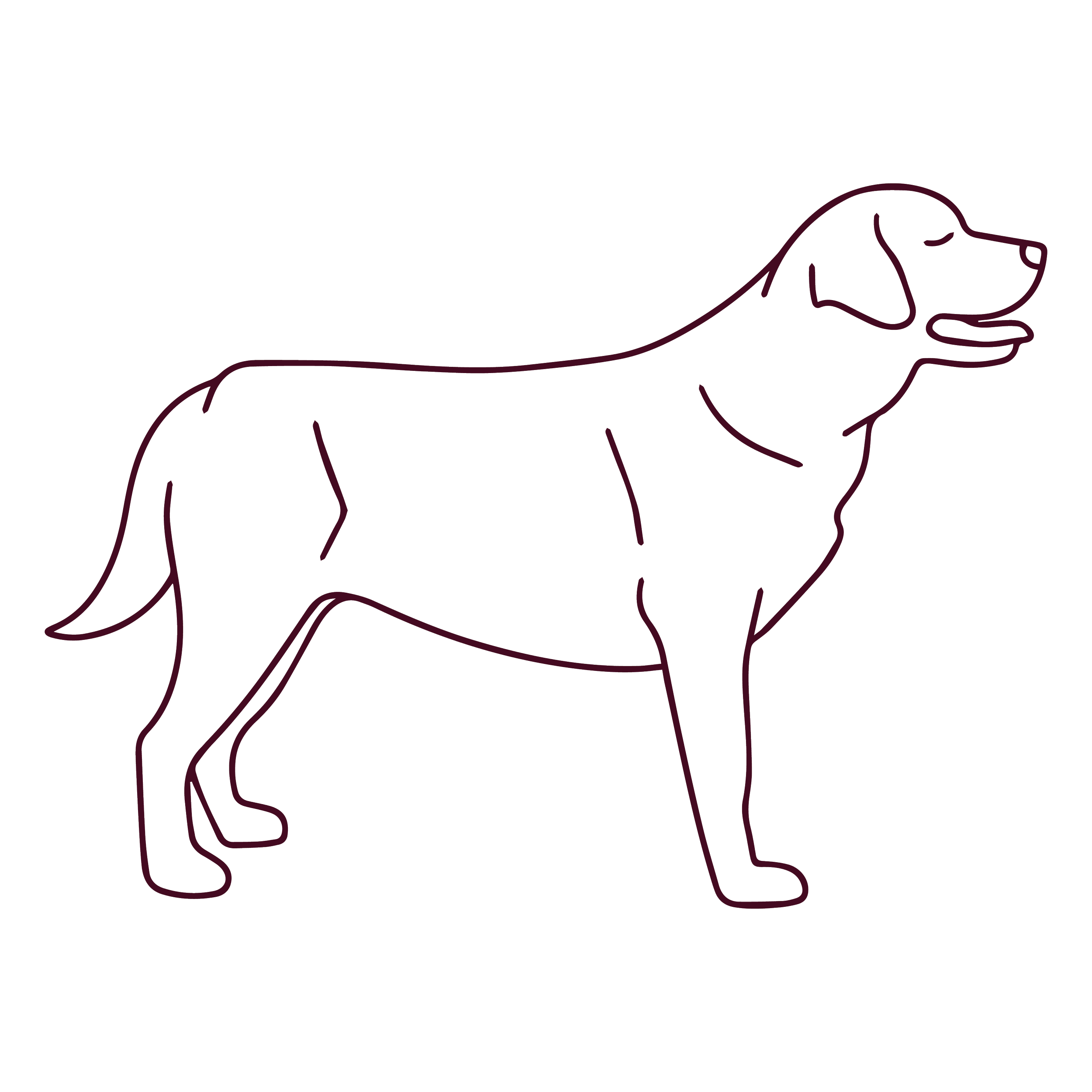 Minimal line drawing of a dog standing in side profile
