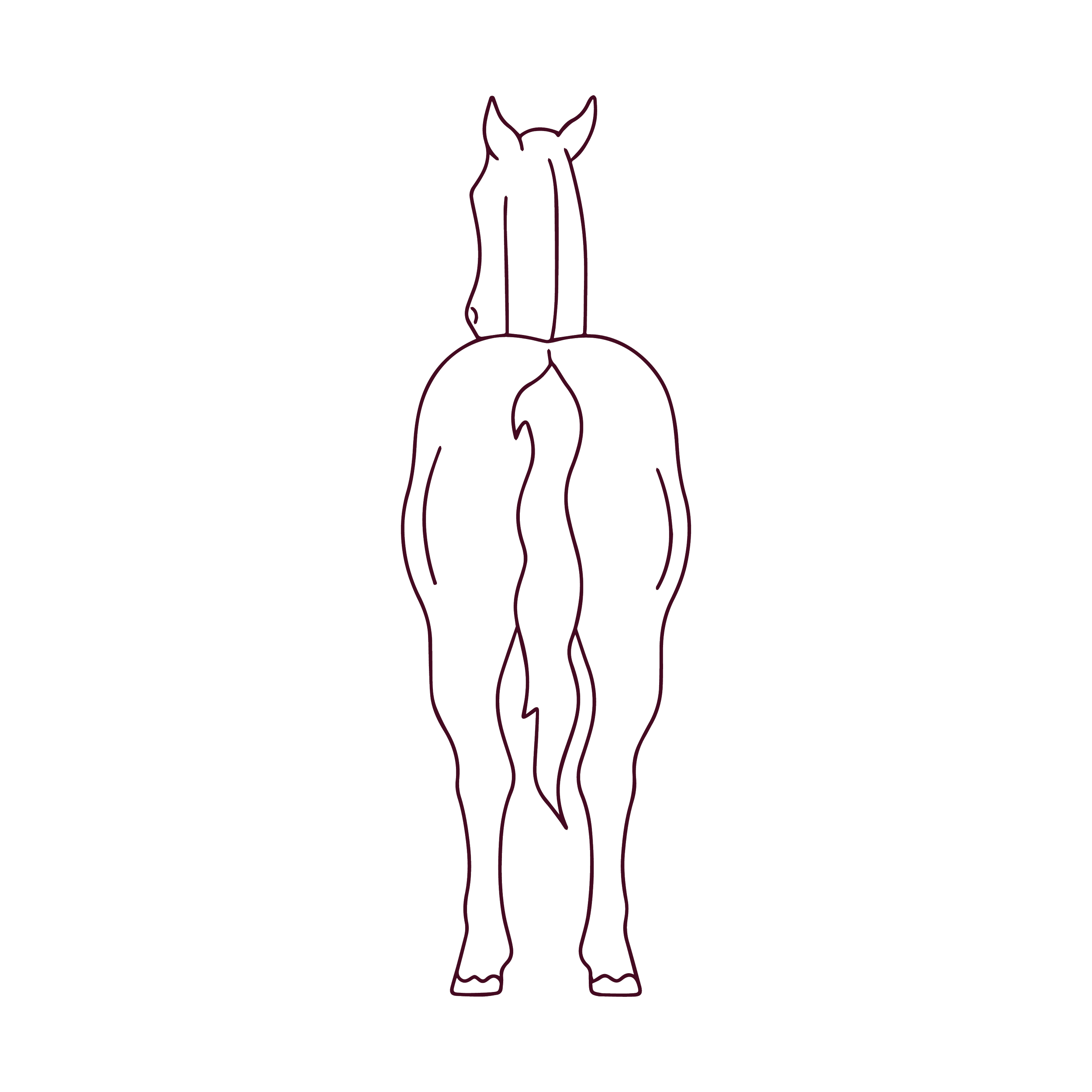 Minimal line drawing of a horse viewed from behind