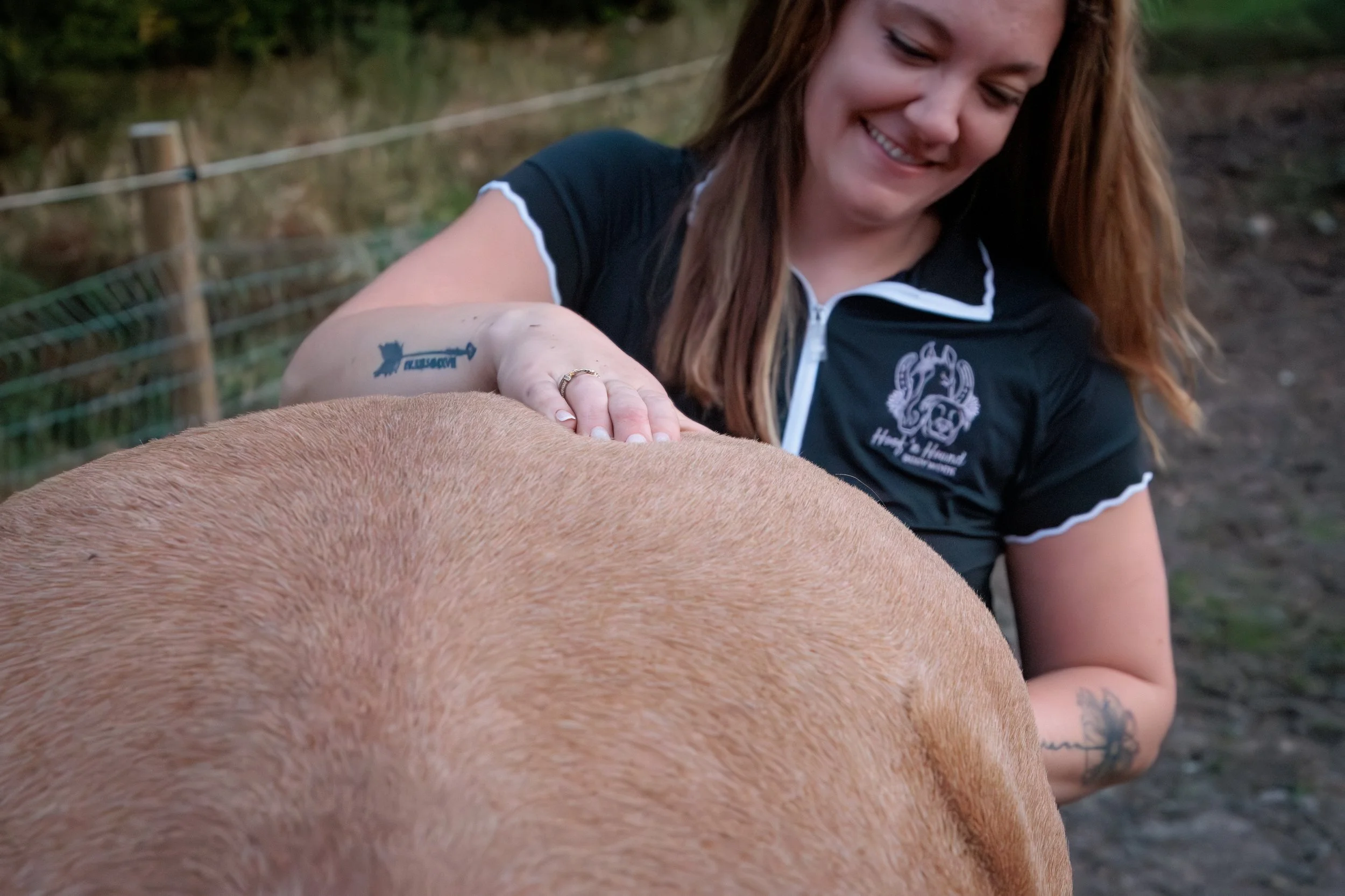 Woman performing hands-on myofascial release therapy on a brown horse