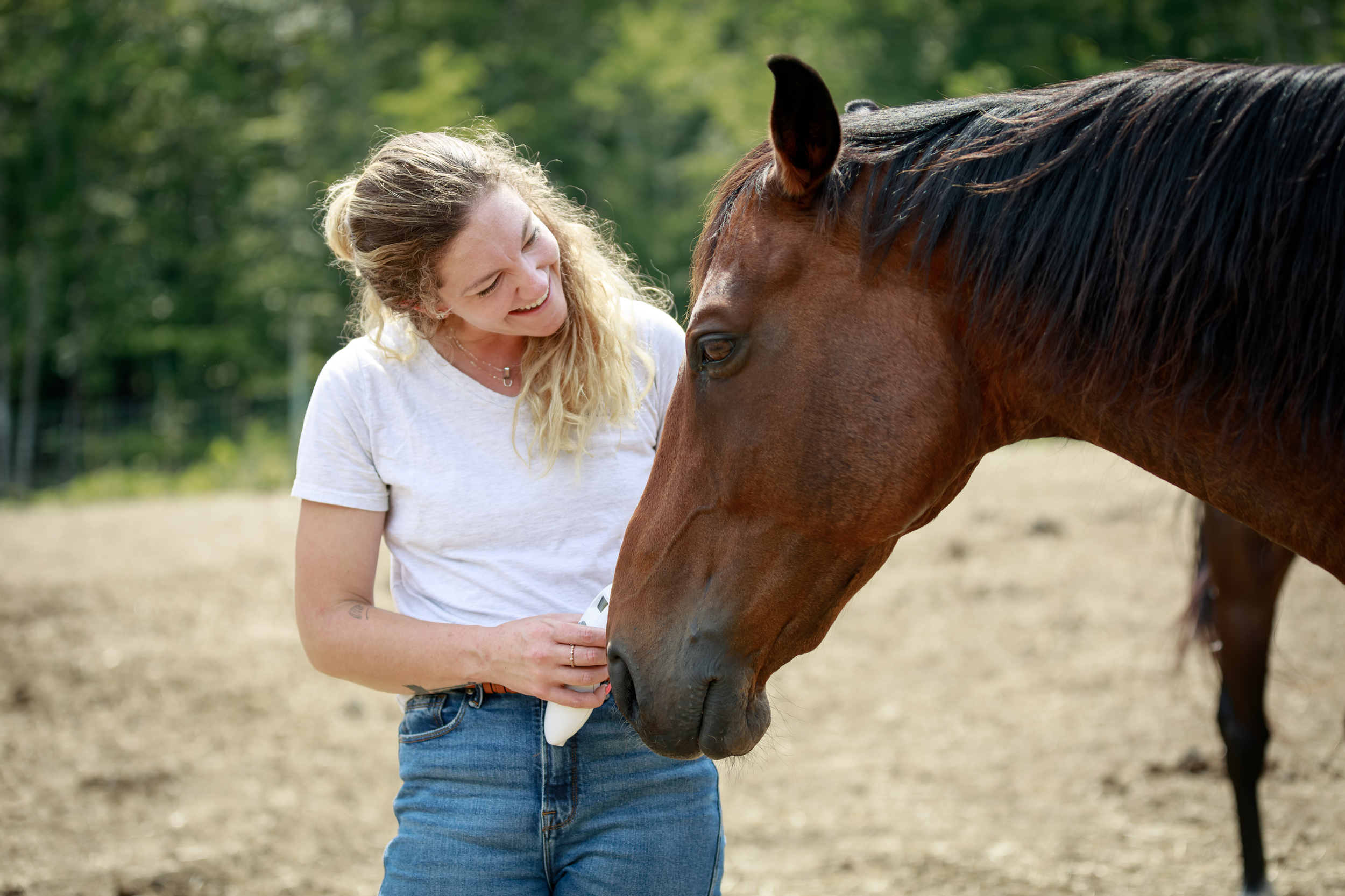 Woman performing laser therapy on a brown horse outdoors