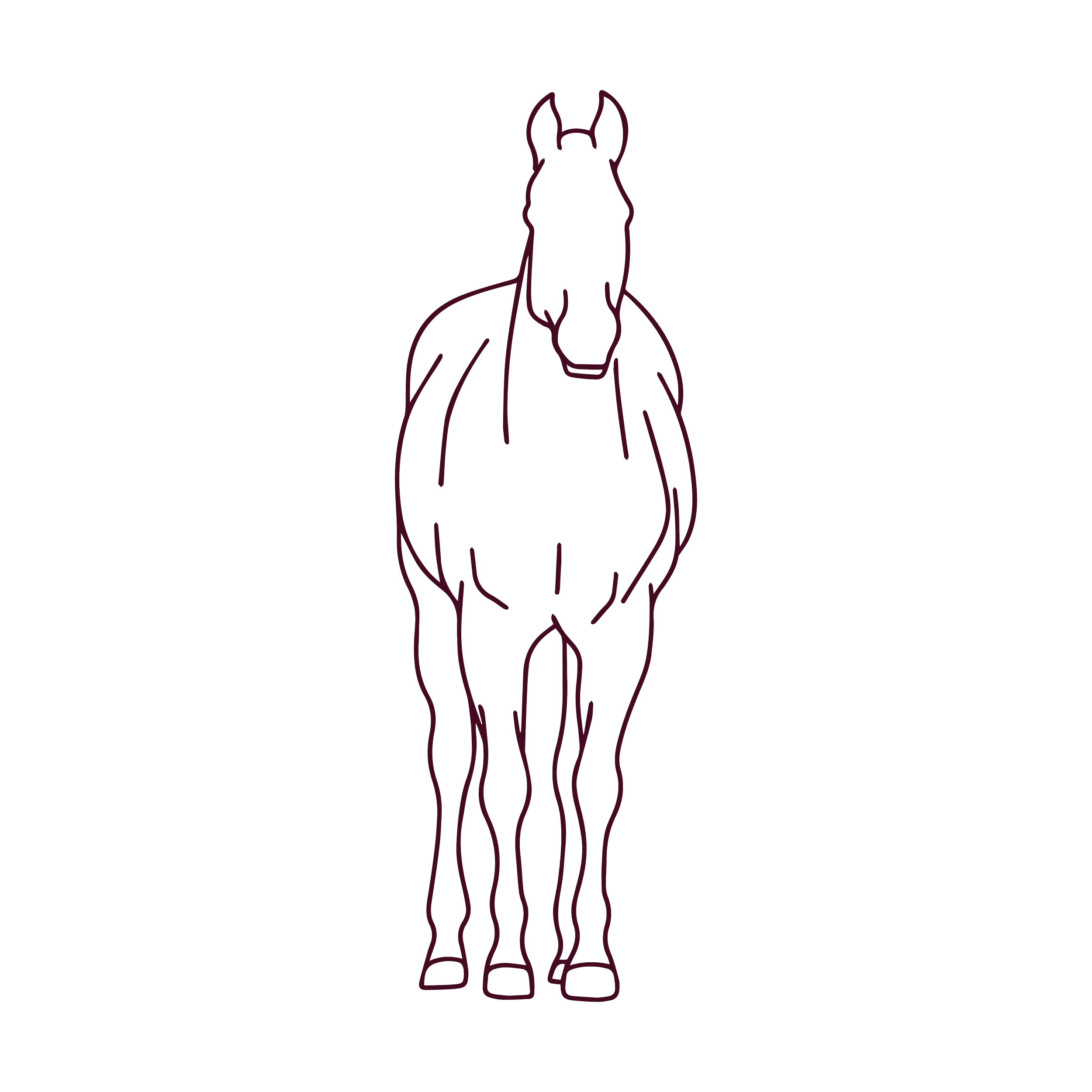 Minimal line drawing of a horse standing and facing forward